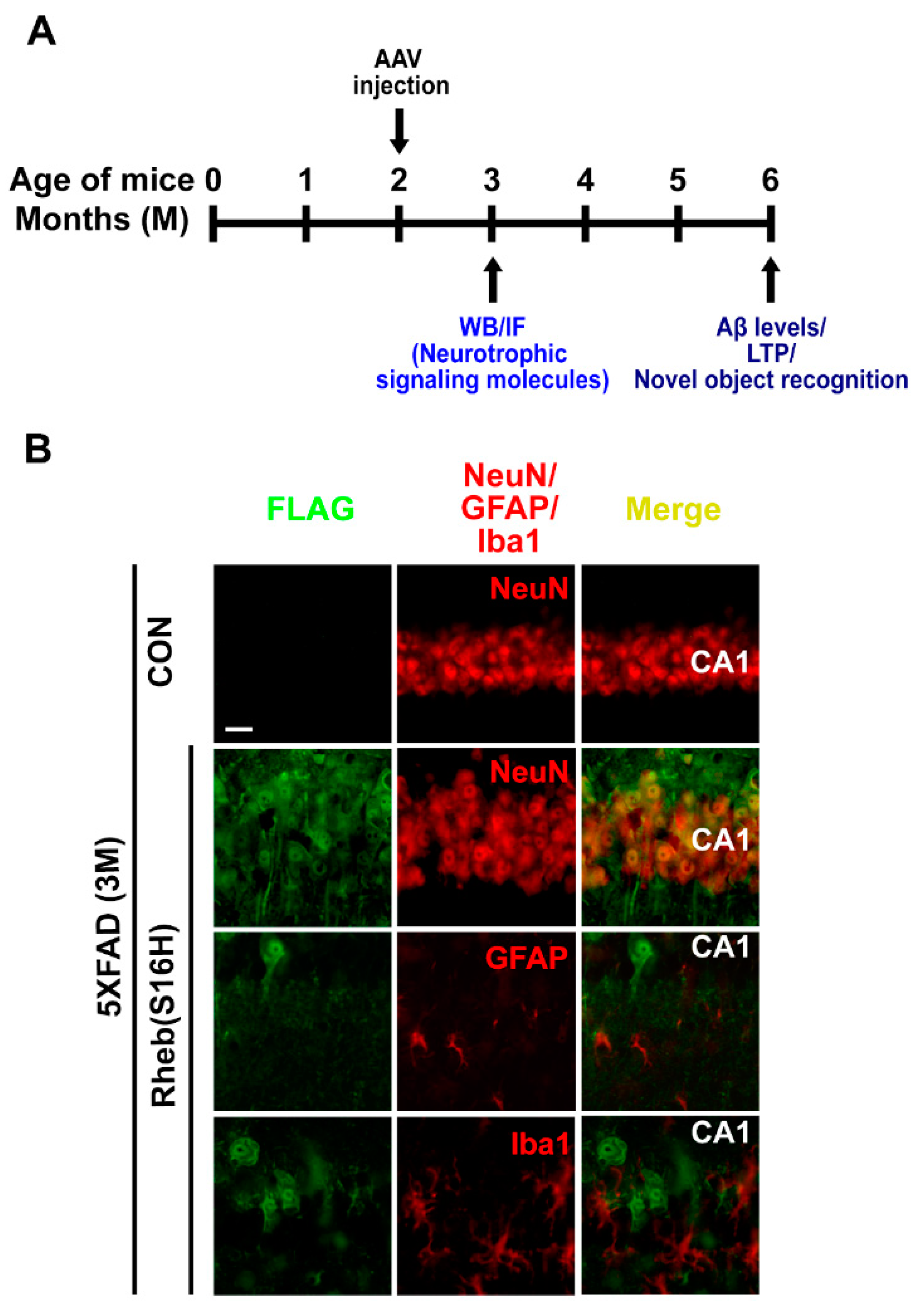Jcm 08 02053 g001 Jcm 08 02053 g001