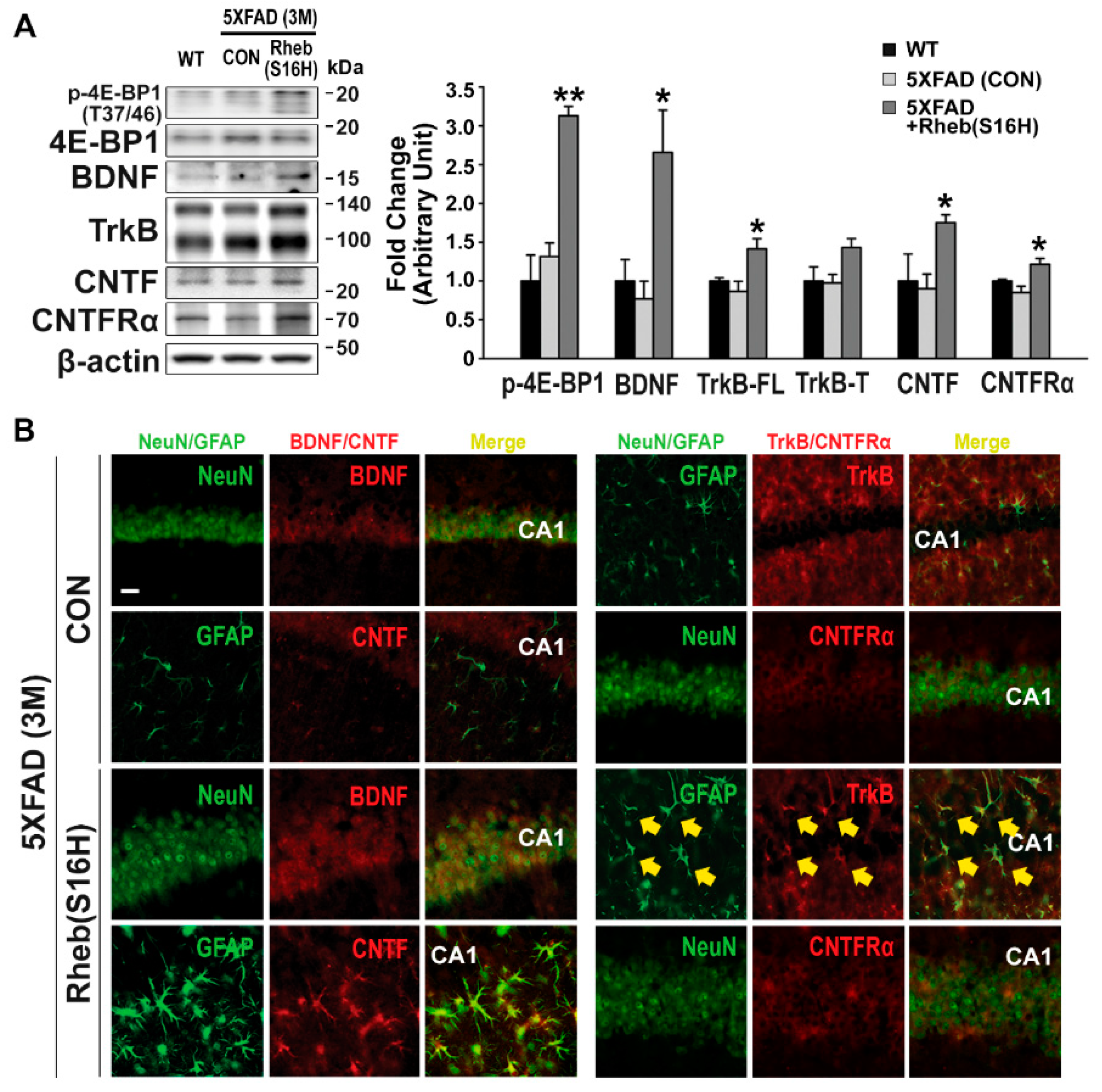 Jcm 08 02053 g002 Jcm 08 02053 g002