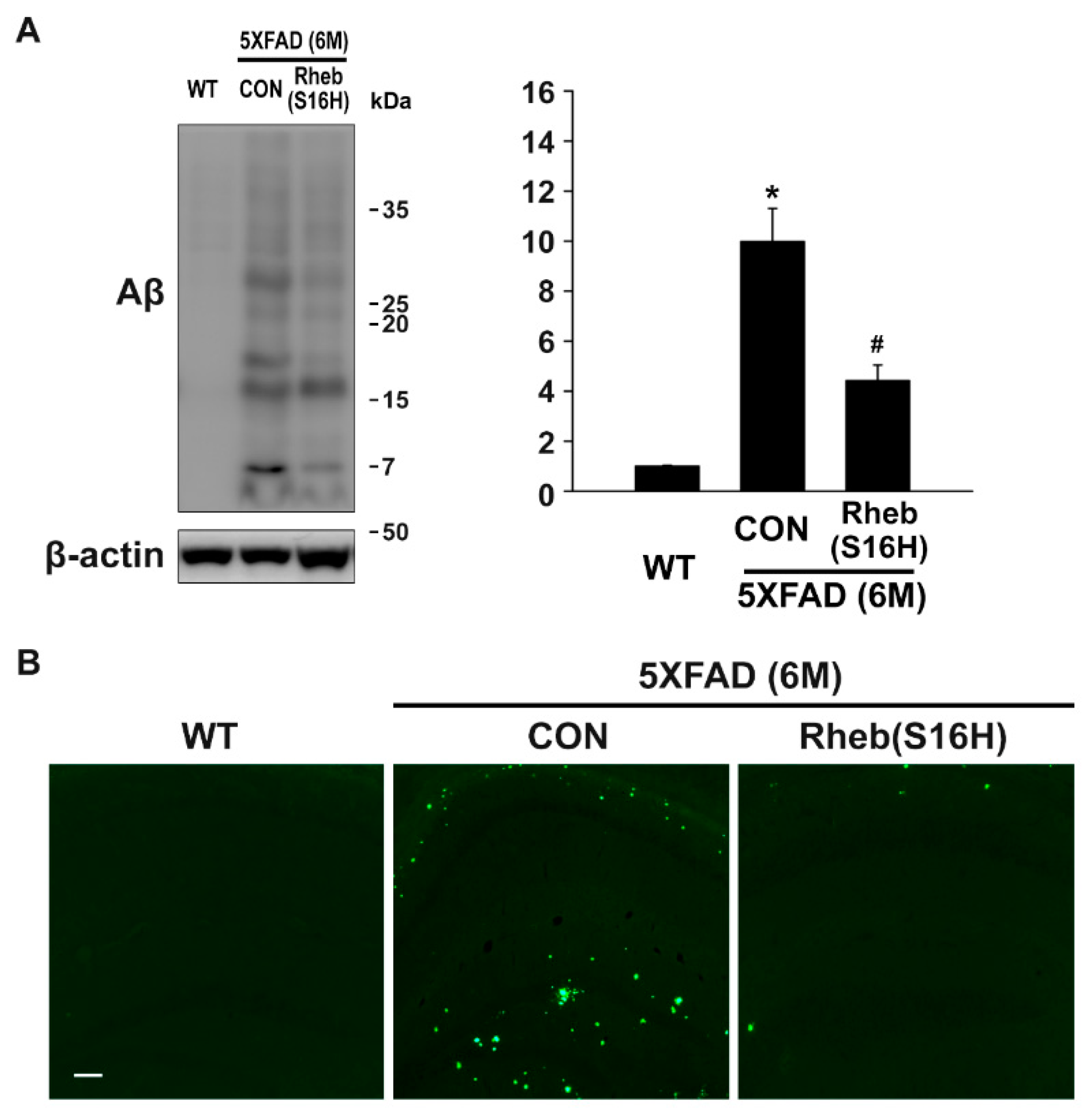 Jcm 08 02053 g003 Jcm 08 02053 g003