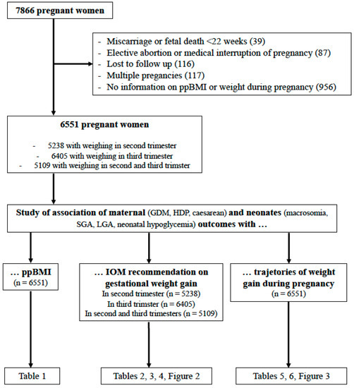 Fetal Weight Gain Third Trimester Chart