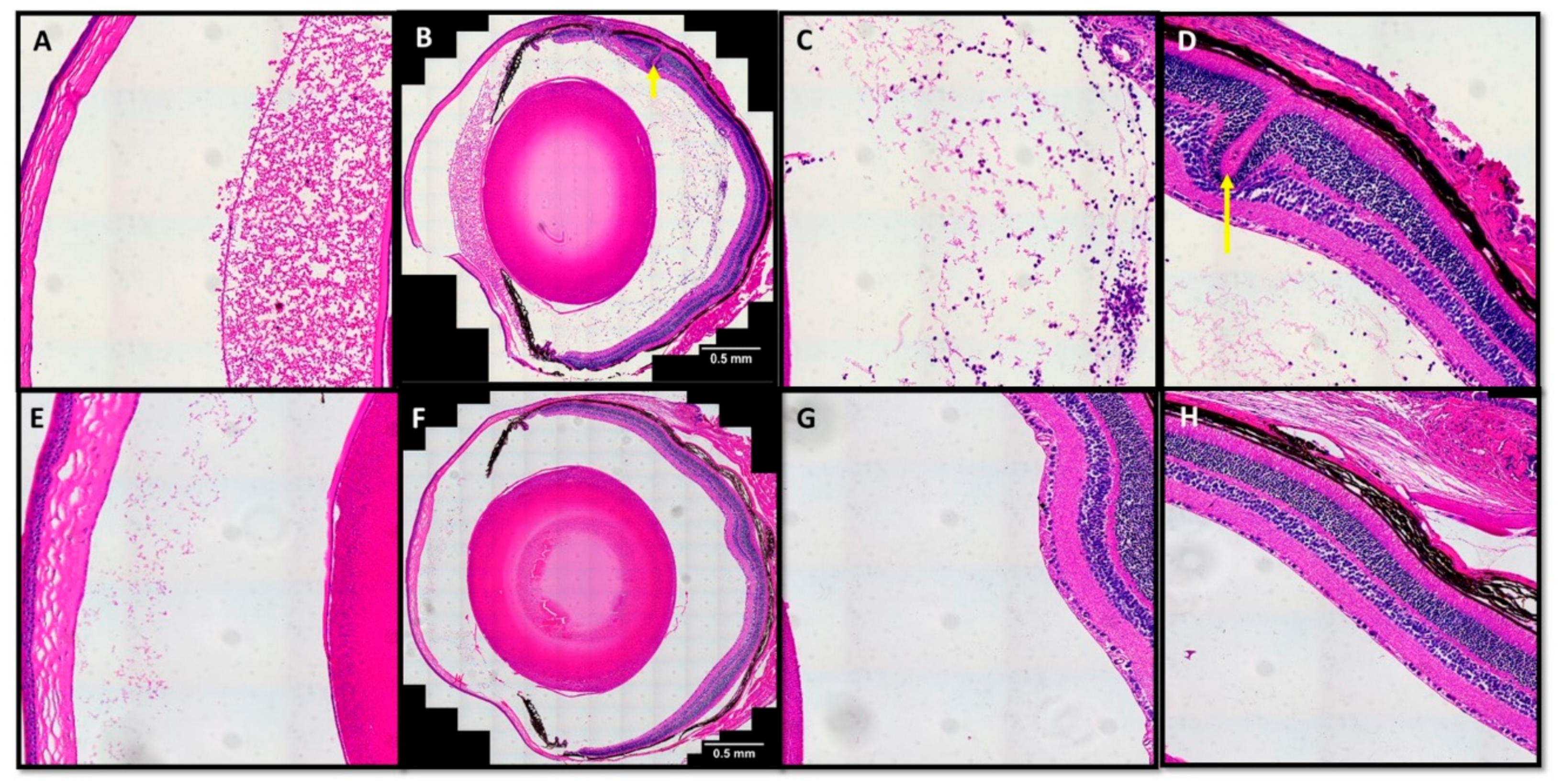 Jcm 08 02082 g005 Jcm 08 02082 g005