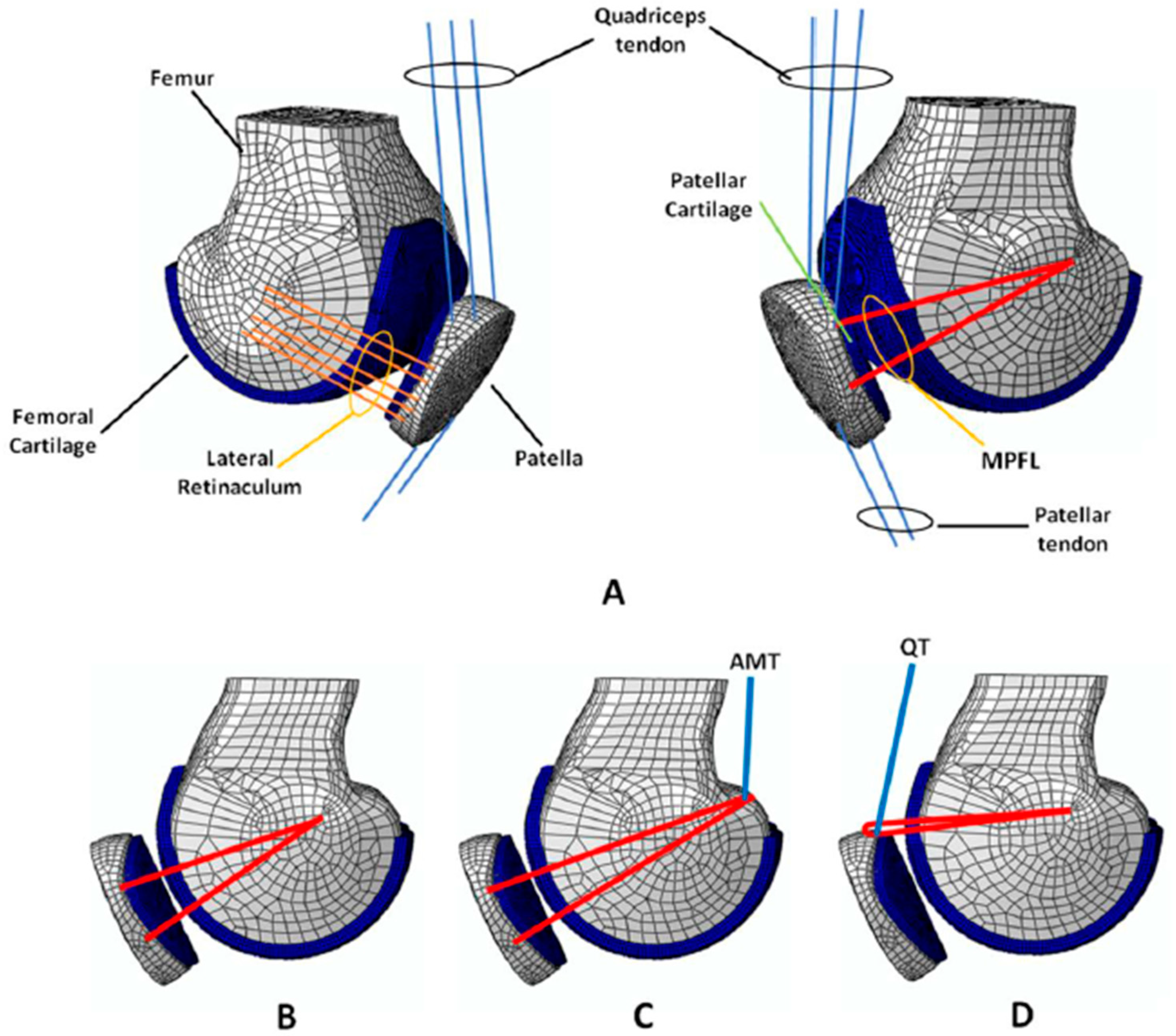 Jcm 08 02093 g001 Jcm 08 02093 g001