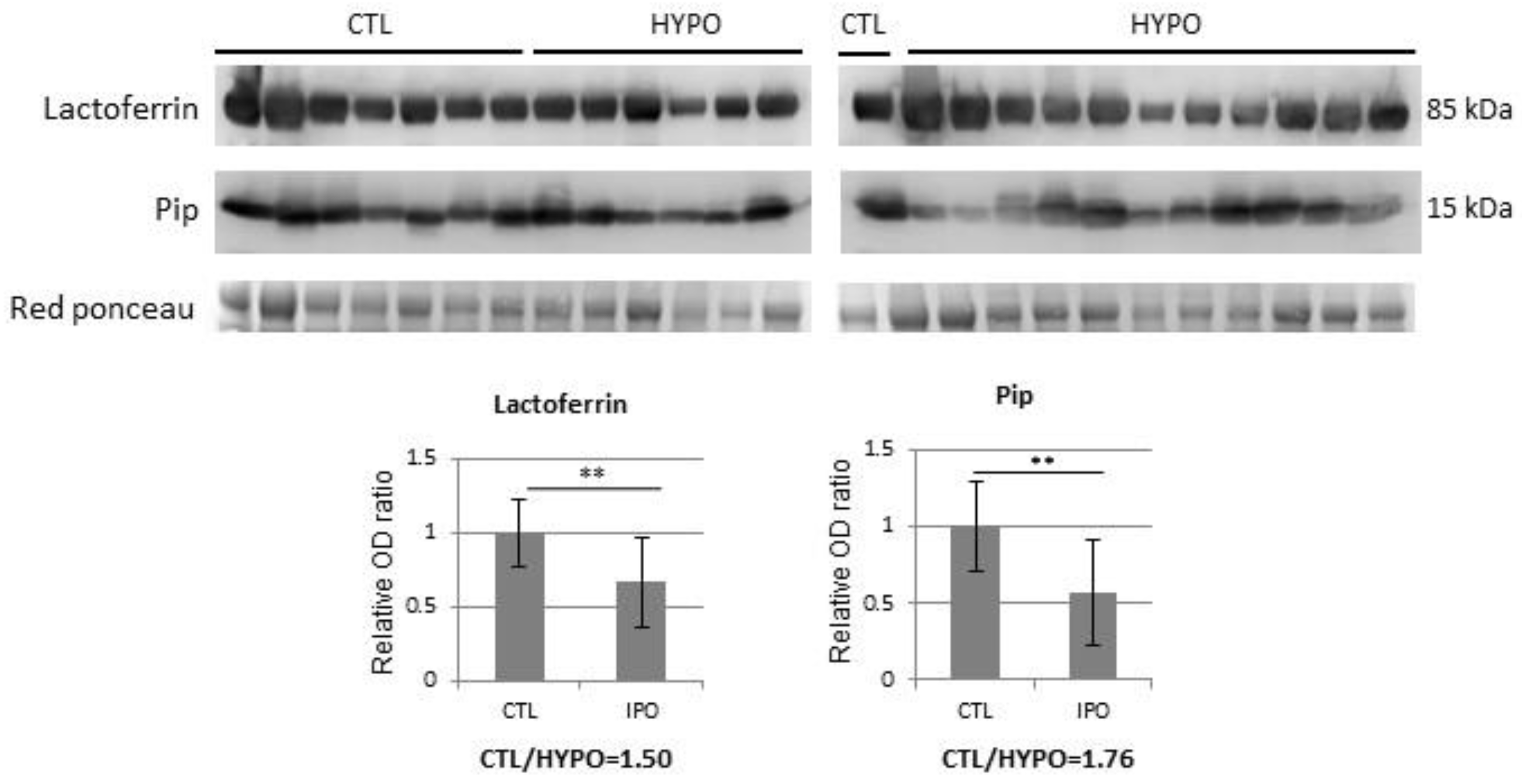 Jcm 08 02128 g001 Jcm 08 02128 g001