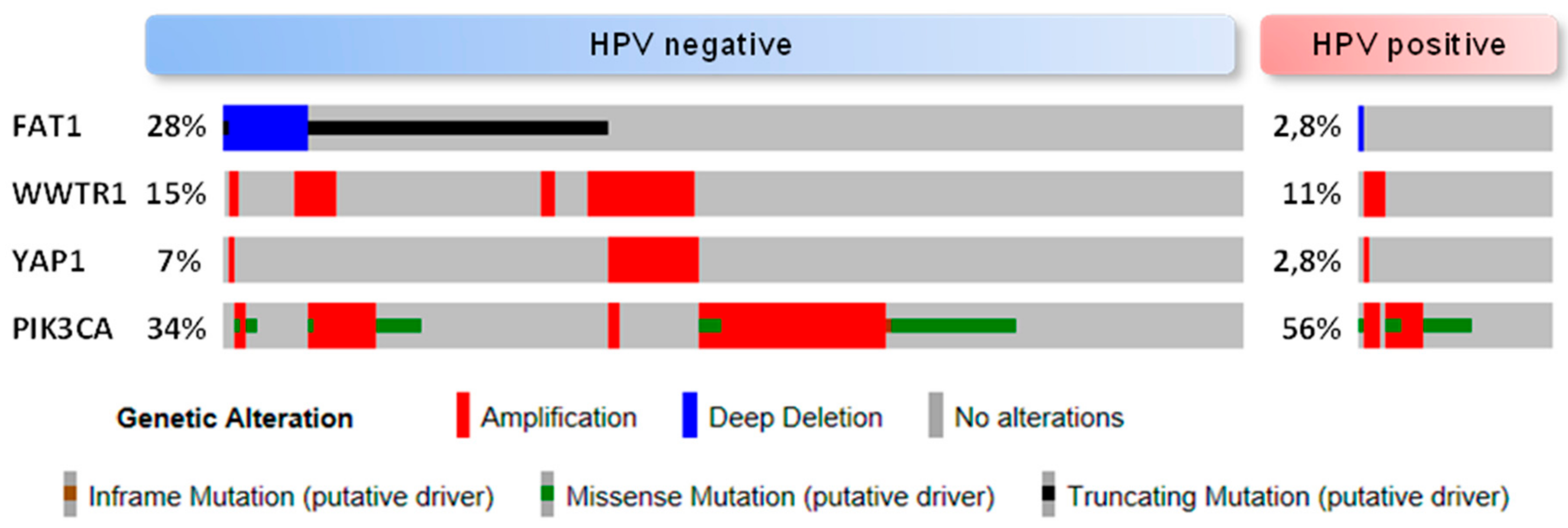 Jcm 08 02131 g003 Jcm 08 02131 g003