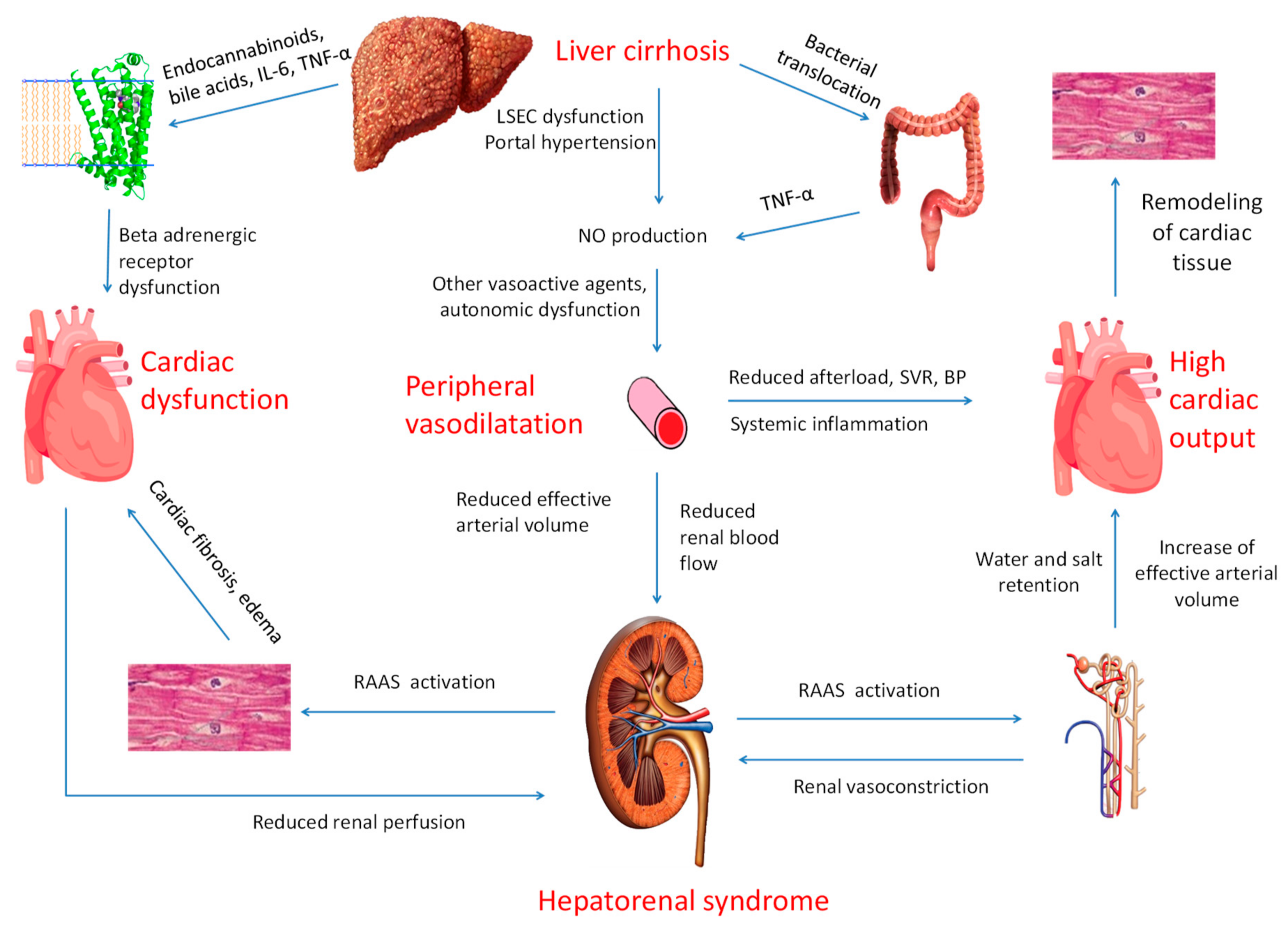 Jcm 08 02132 g001 Jcm 08 02132 g001