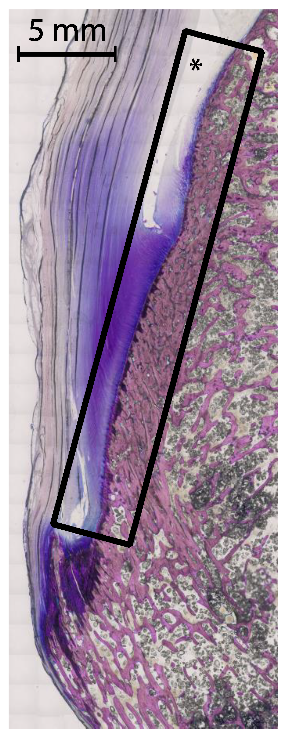 Jcm 08 02174 g003 Jcm 08 02174 g003