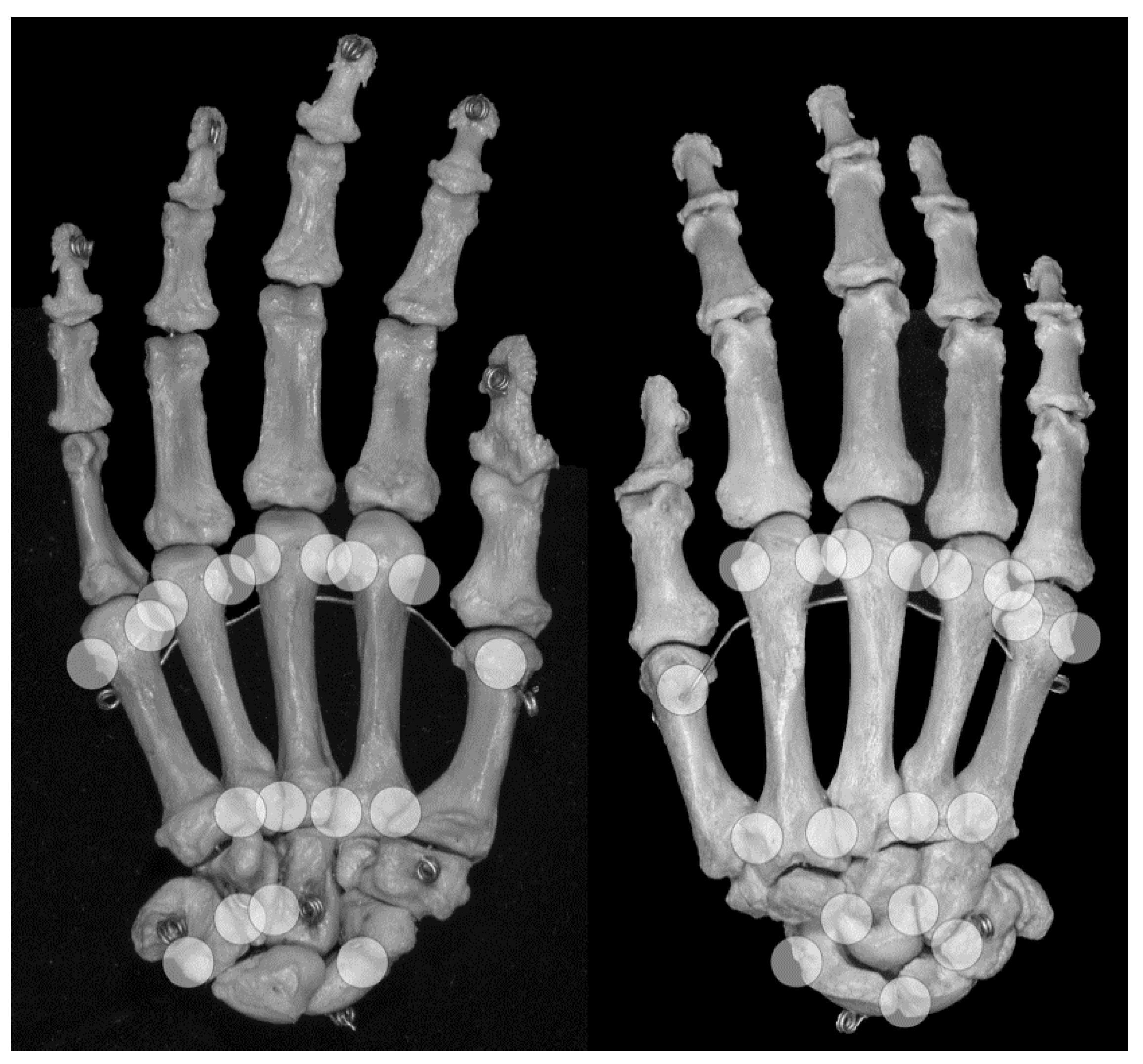 Jcm 08 02174 g004 Jcm 08 02174 g004