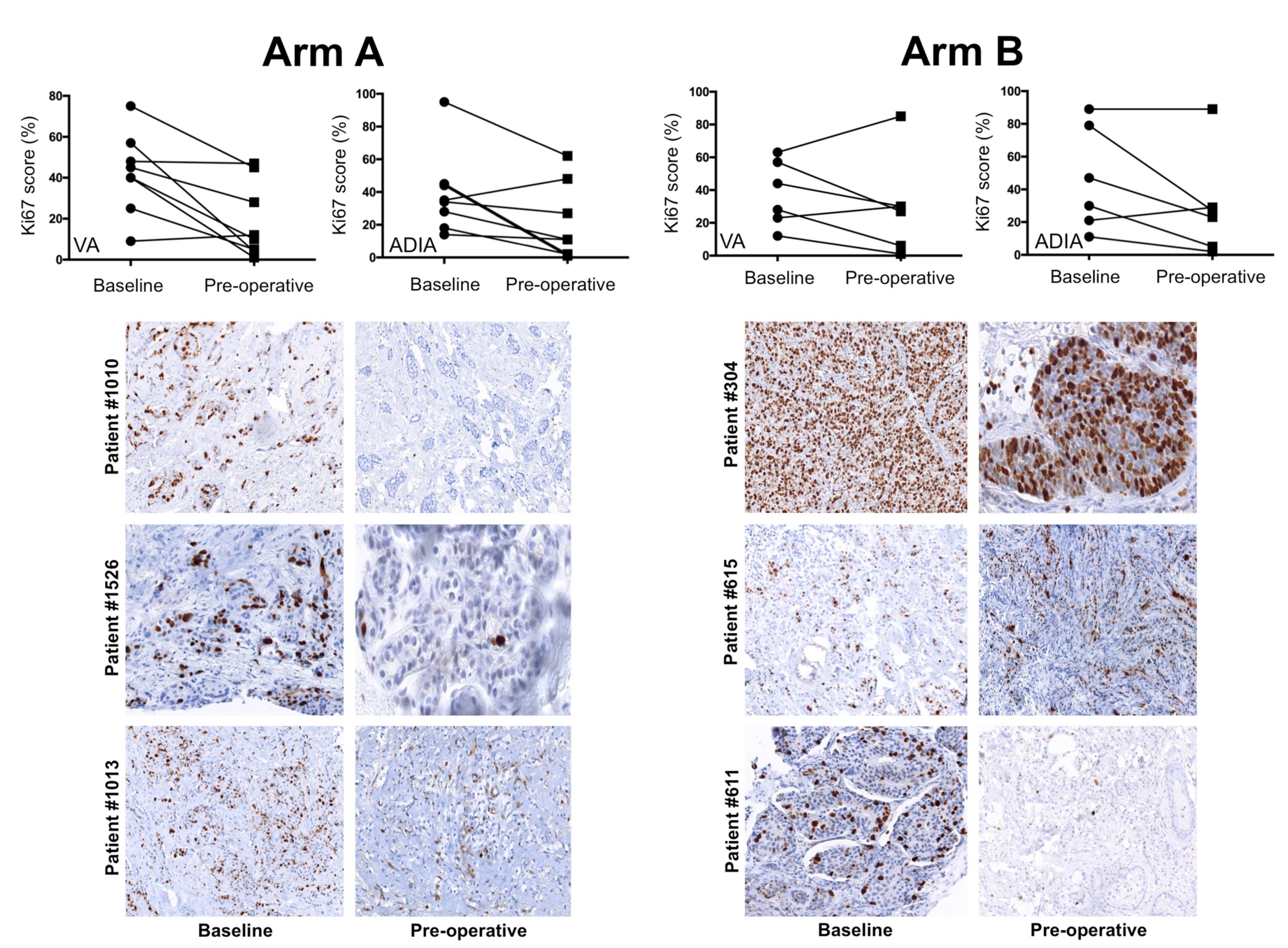 Jcm 08 02180 g005 Jcm 08 02180 g005