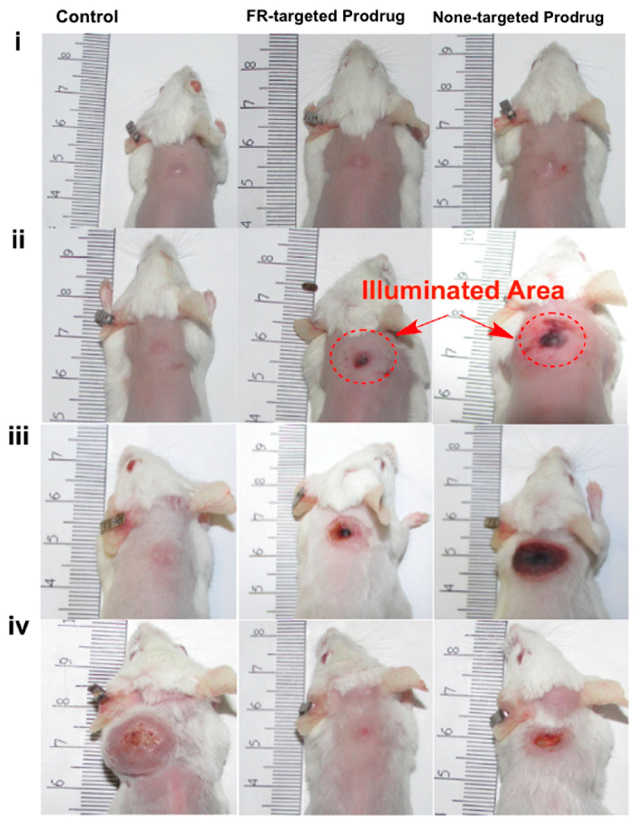 Jcm 08 02198 g008 Jcm 08 02198 g008