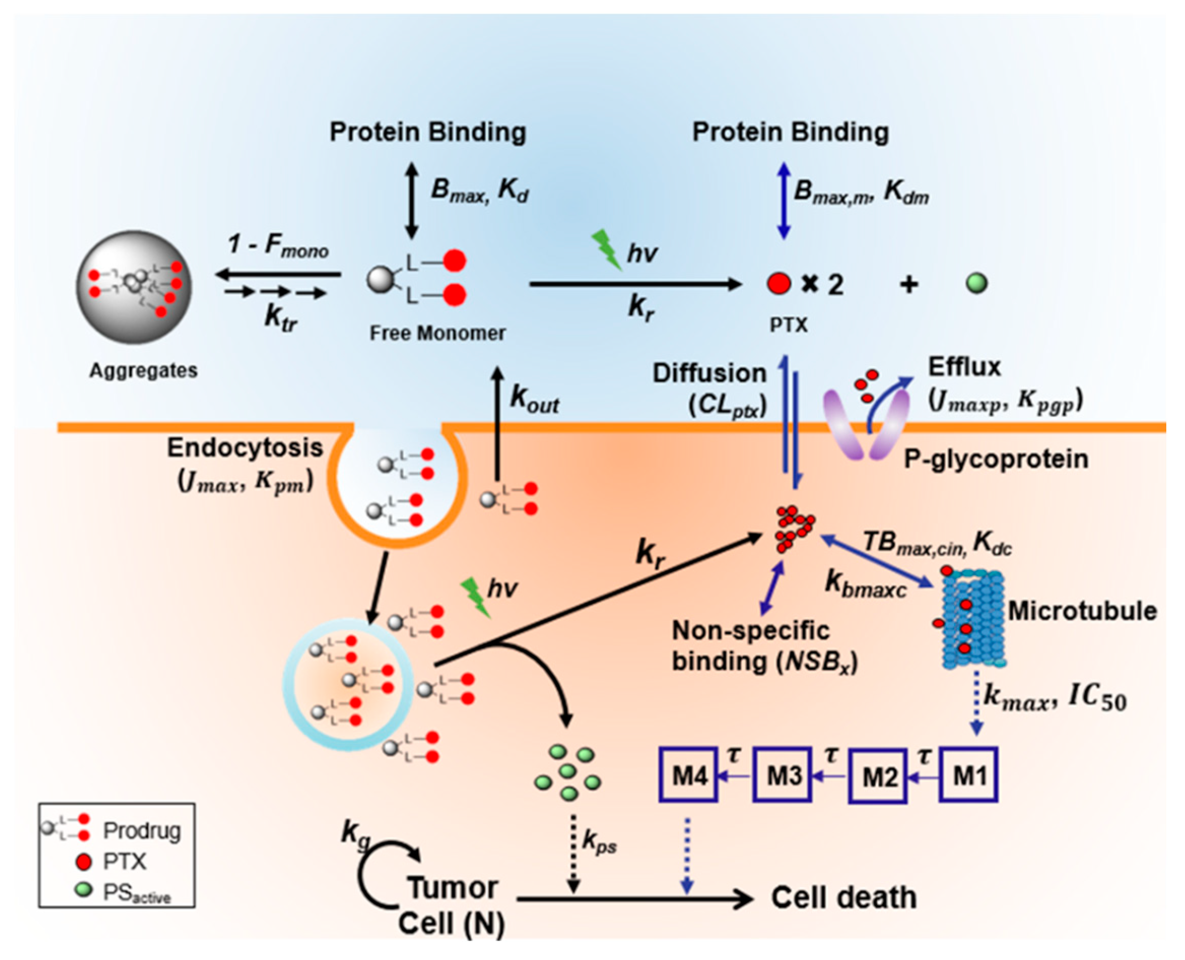 Jcm 08 02198 g009 Jcm 08 02198 g009