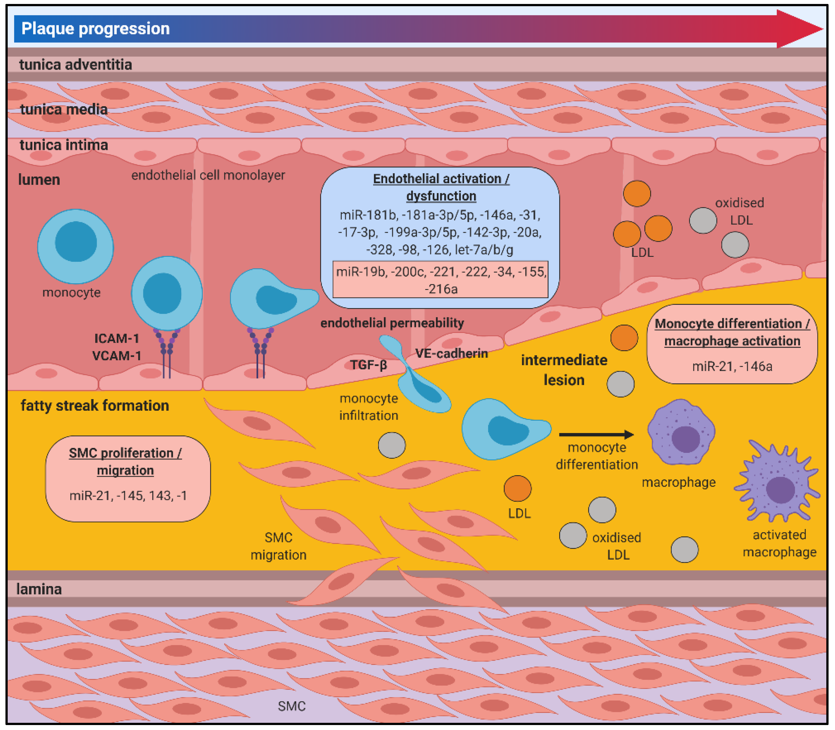 Jcm 08 02199 g002 Jcm 08 02199 g002