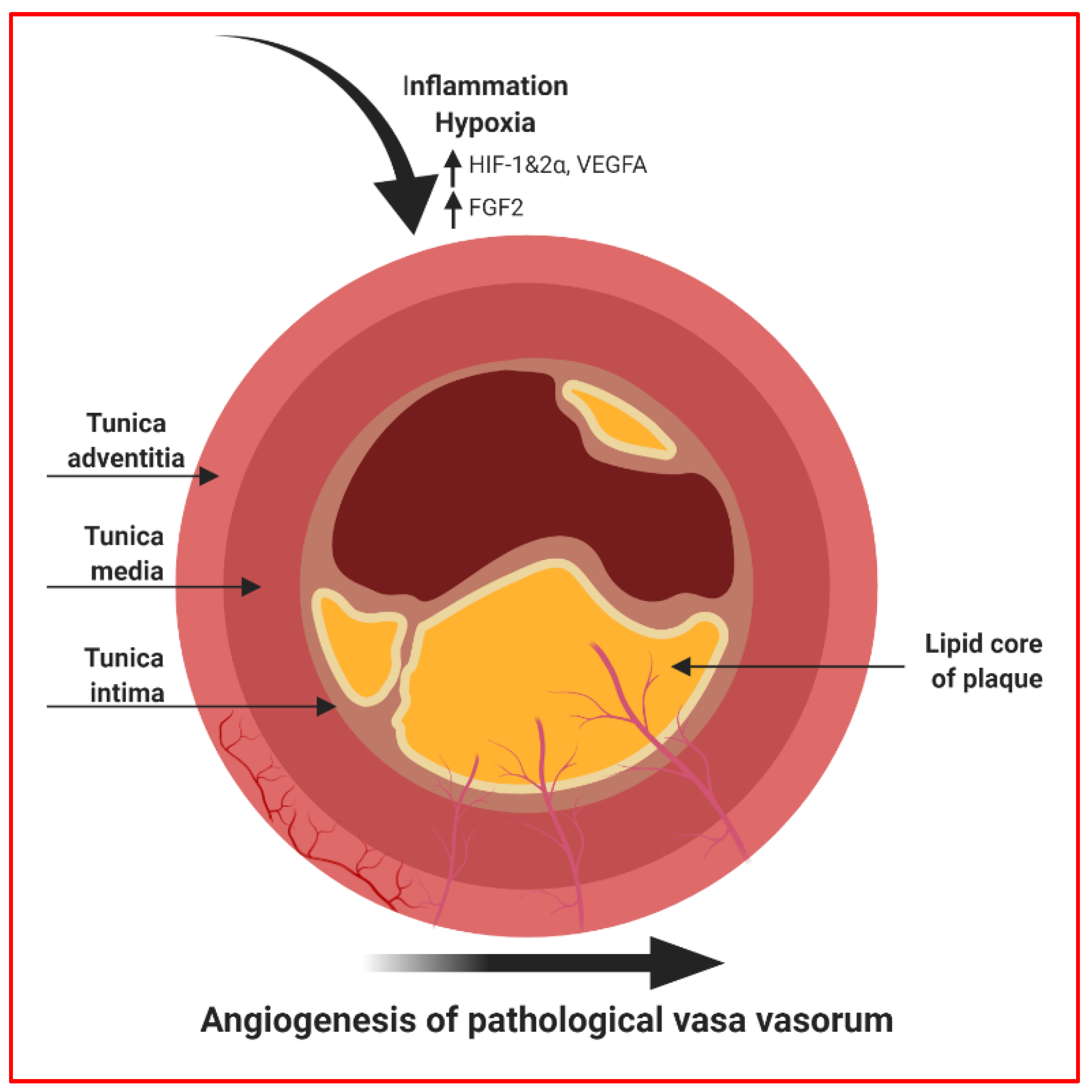 Jcm 08 02199 g004 Jcm 08 02199 g004