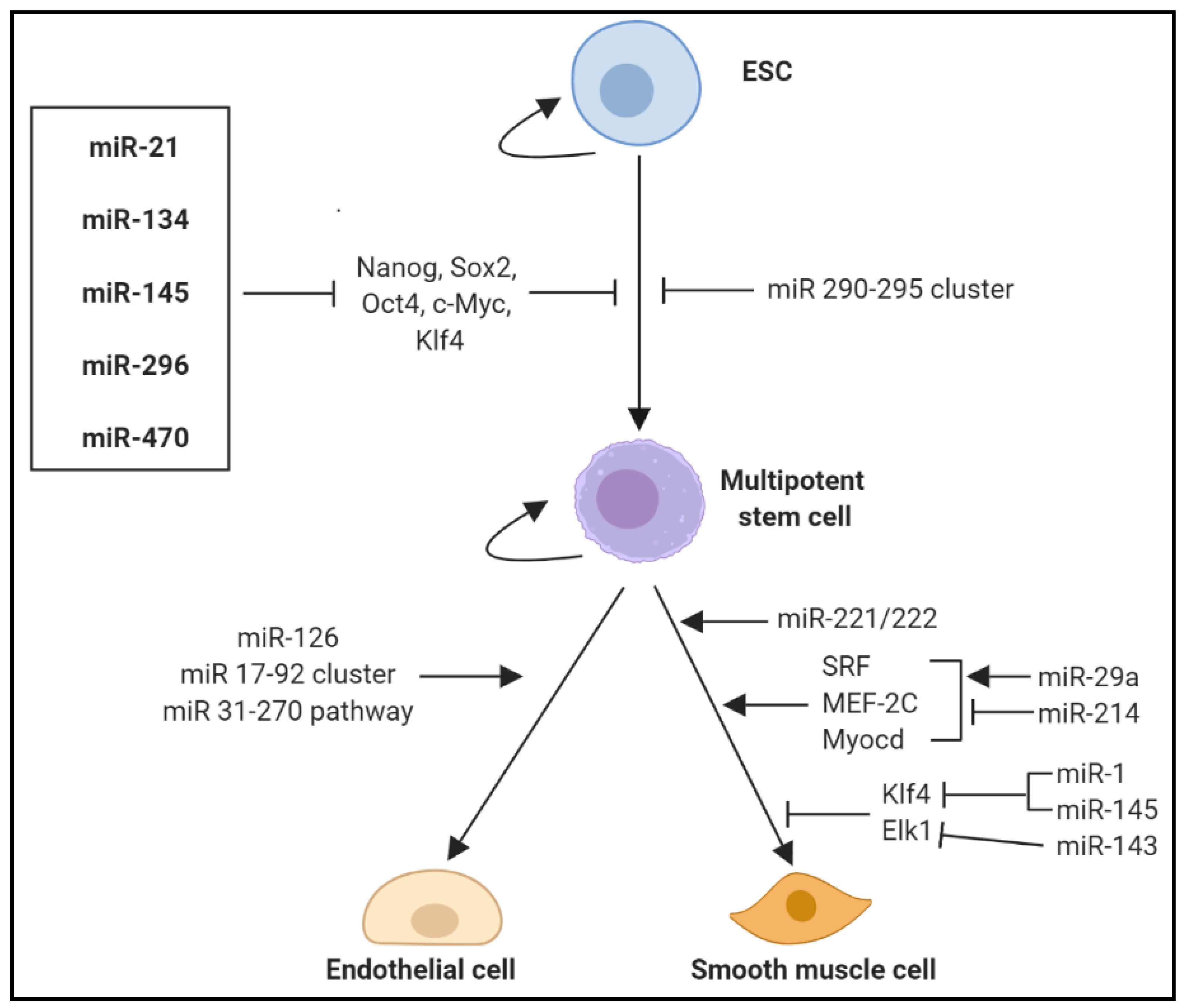 Jcm 08 02199 g005 Jcm 08 02199 g005