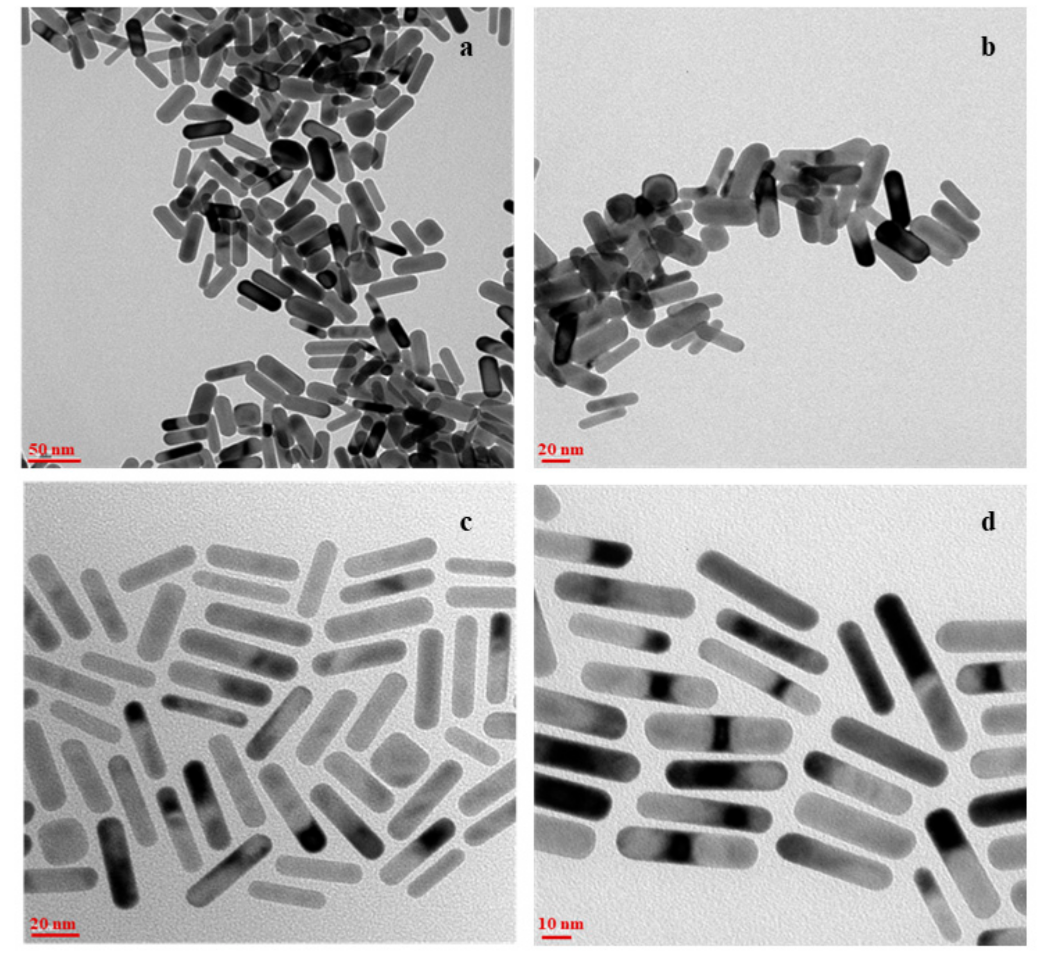 New Targeted Gold Nanorods for the Treatment of Glioblastoma