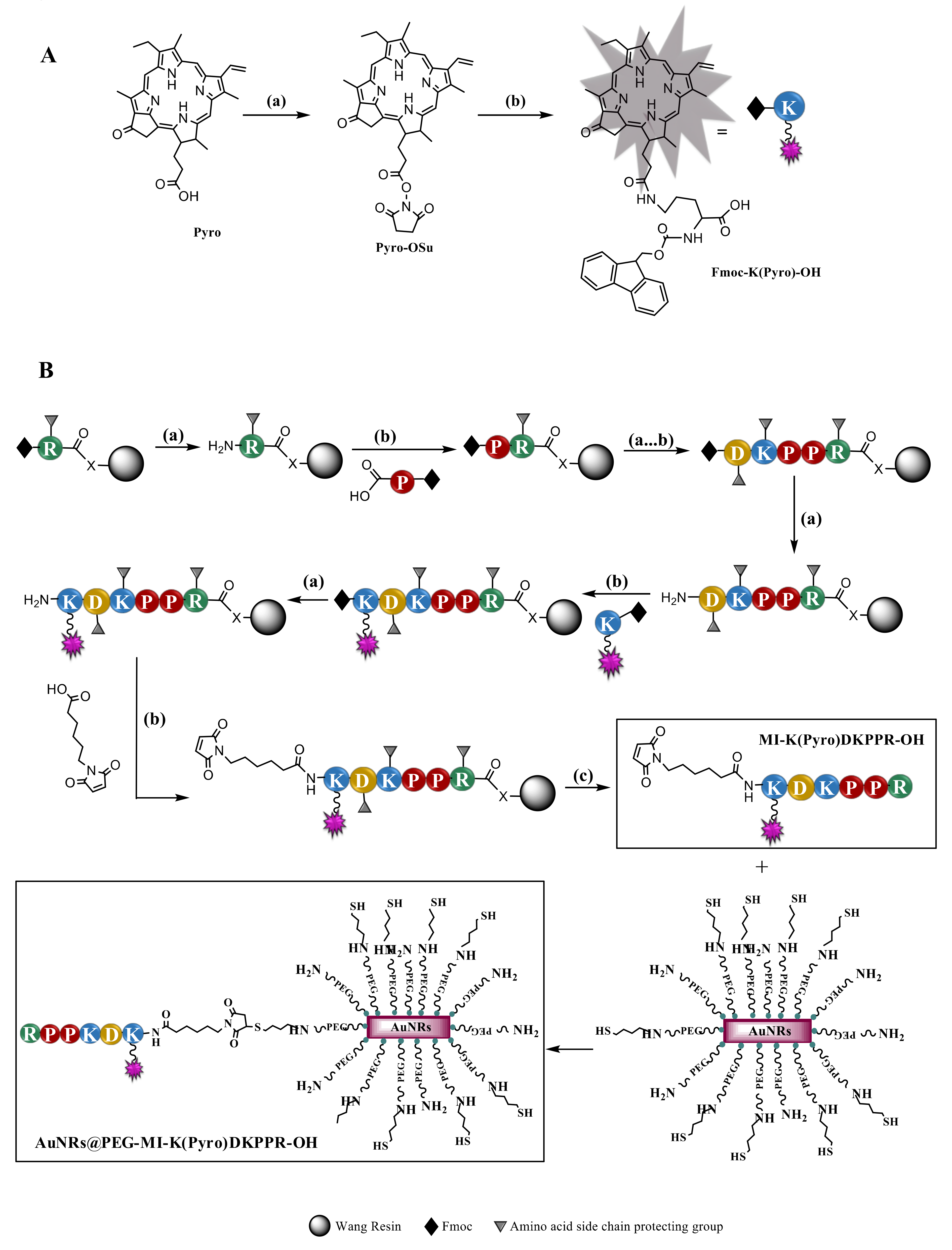 JCM | Free Full-Text | New Targeted Gold Nanorods for the 