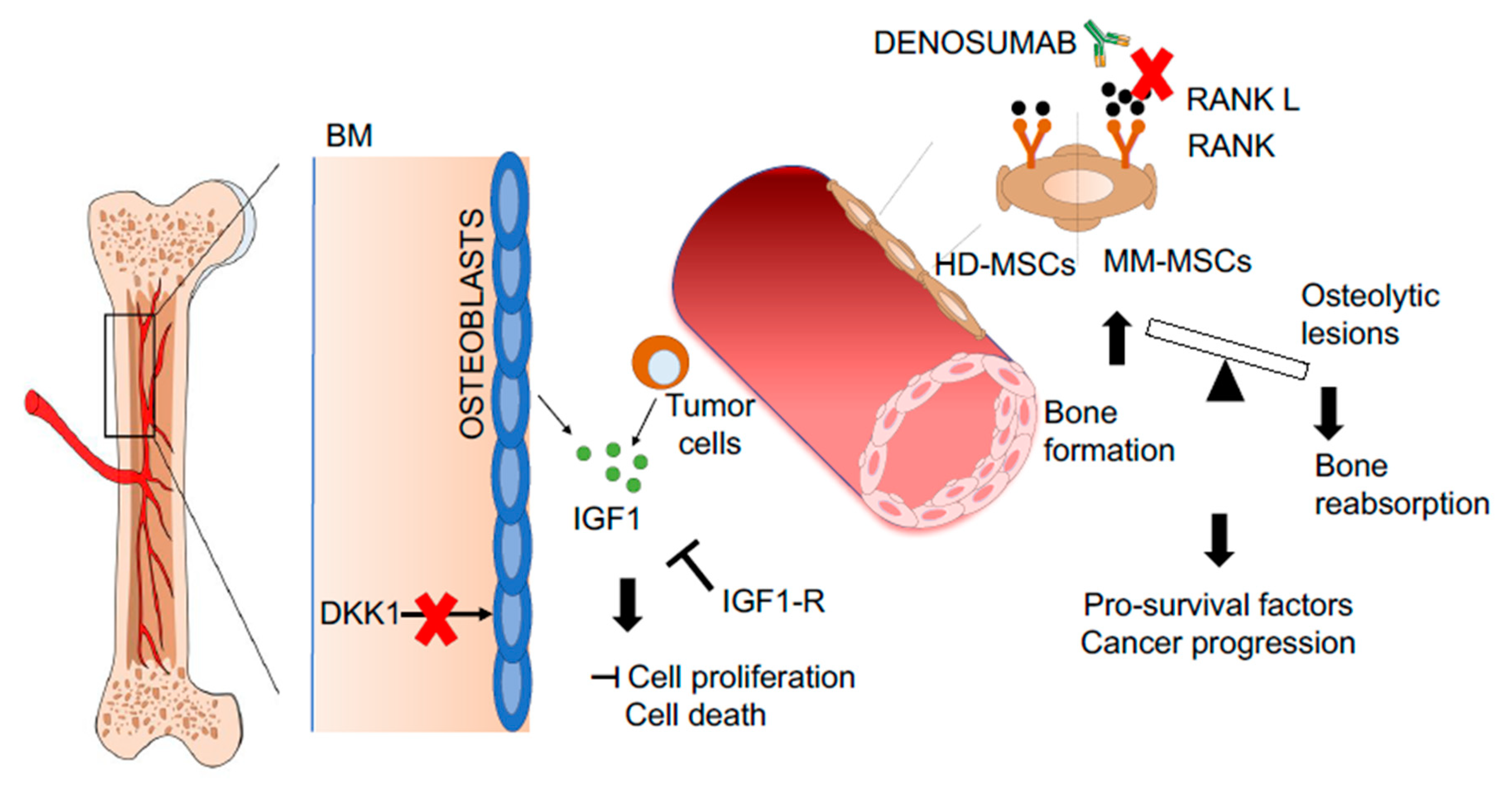 Jcm 09 00002 g003 Jcm 09 00002 g003