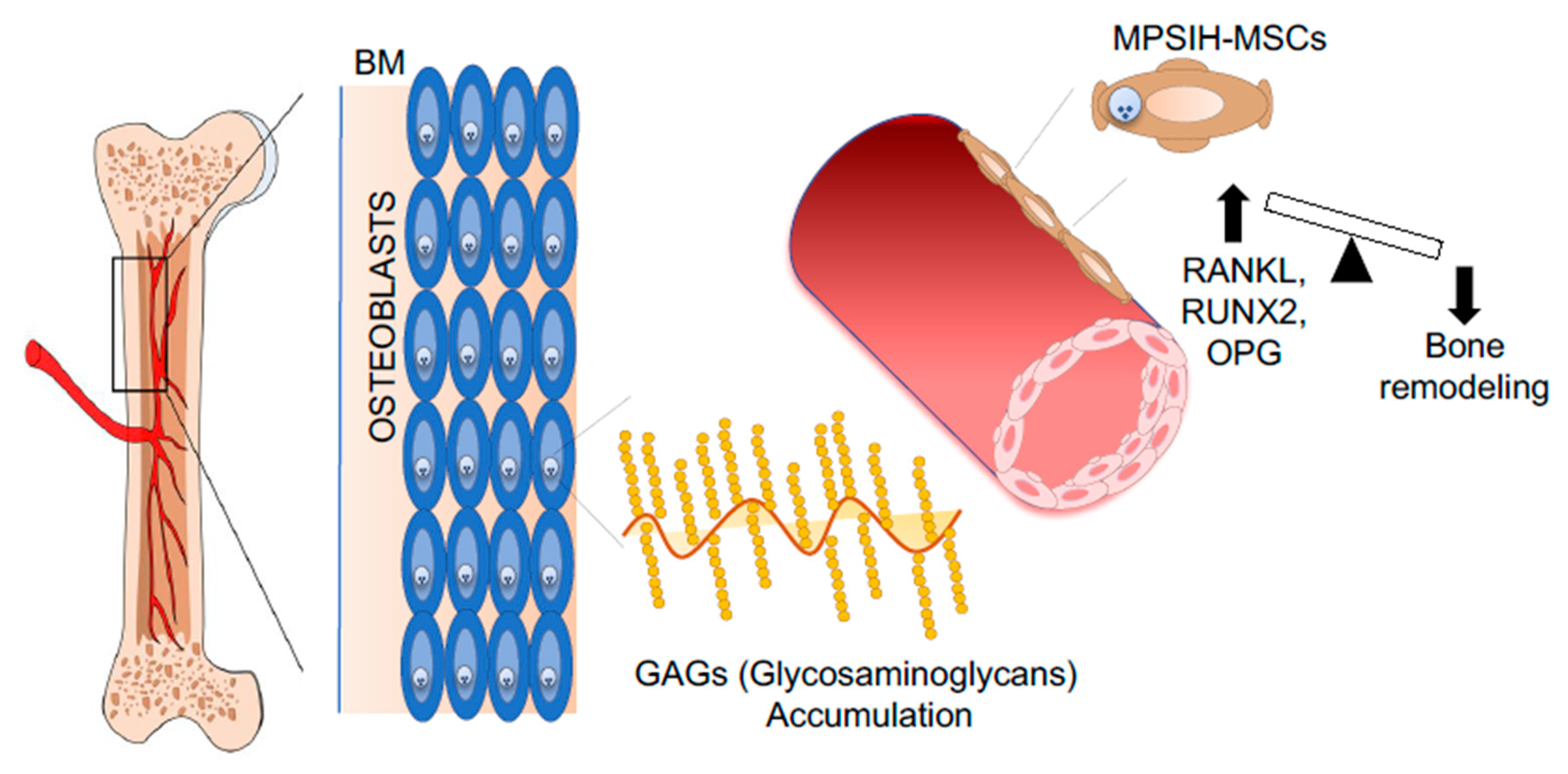 Jcm 09 00002 g005 Jcm 09 00002 g005