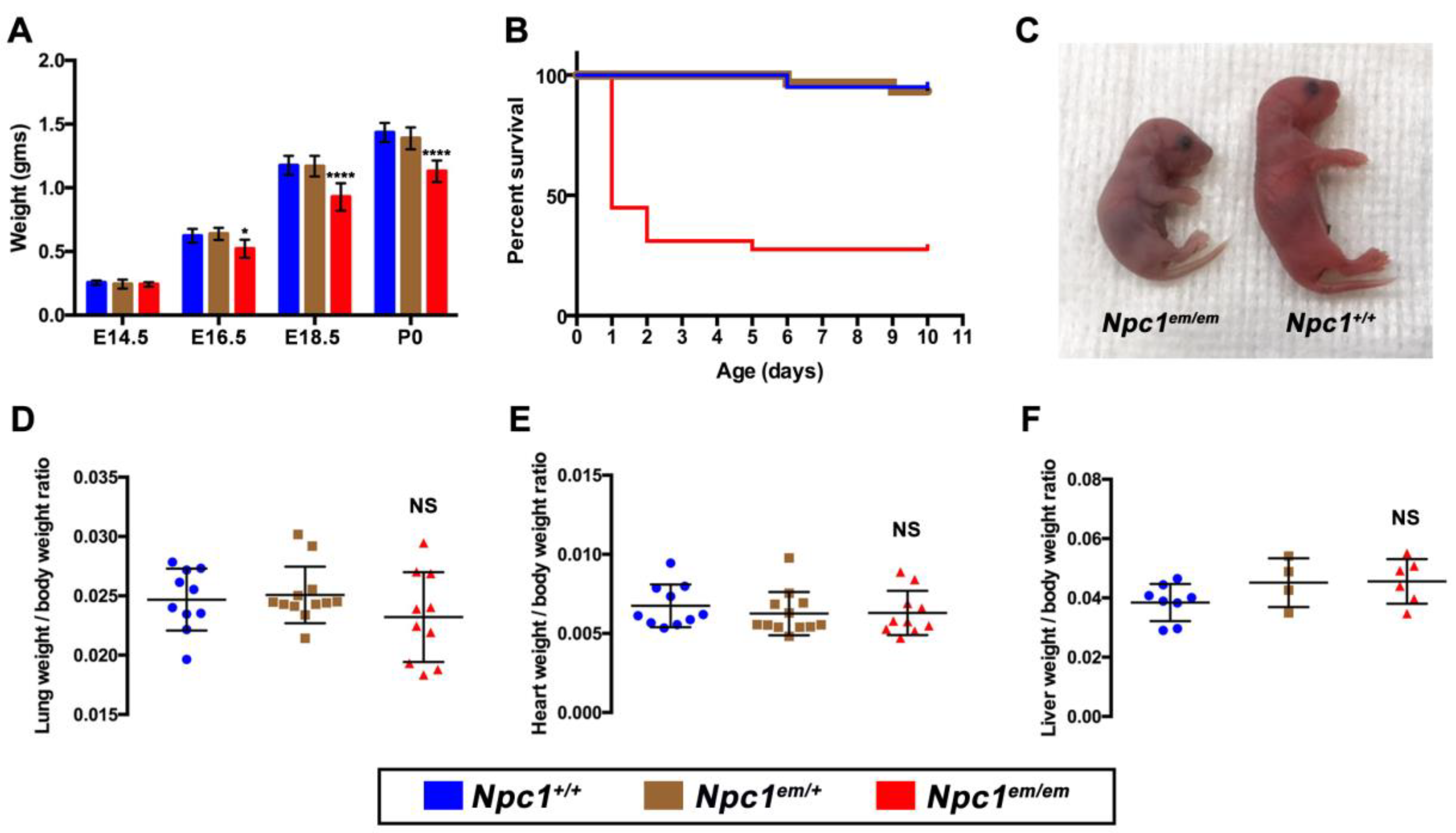 Jcm 09 00012 g001 Jcm 09 00012 g001