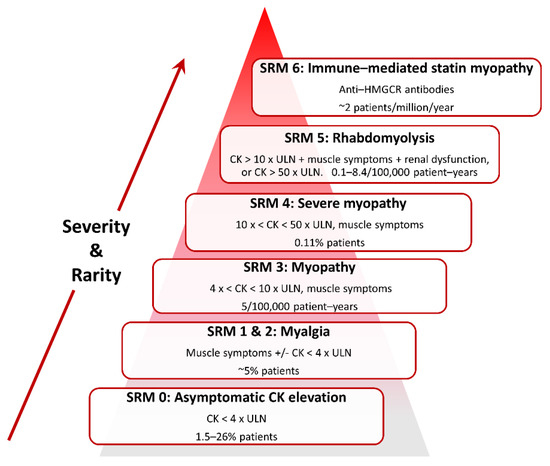 Drug-Induced Rhabdomyolysis: From Systems Pharmacology Analysis to  Biochemical Flux