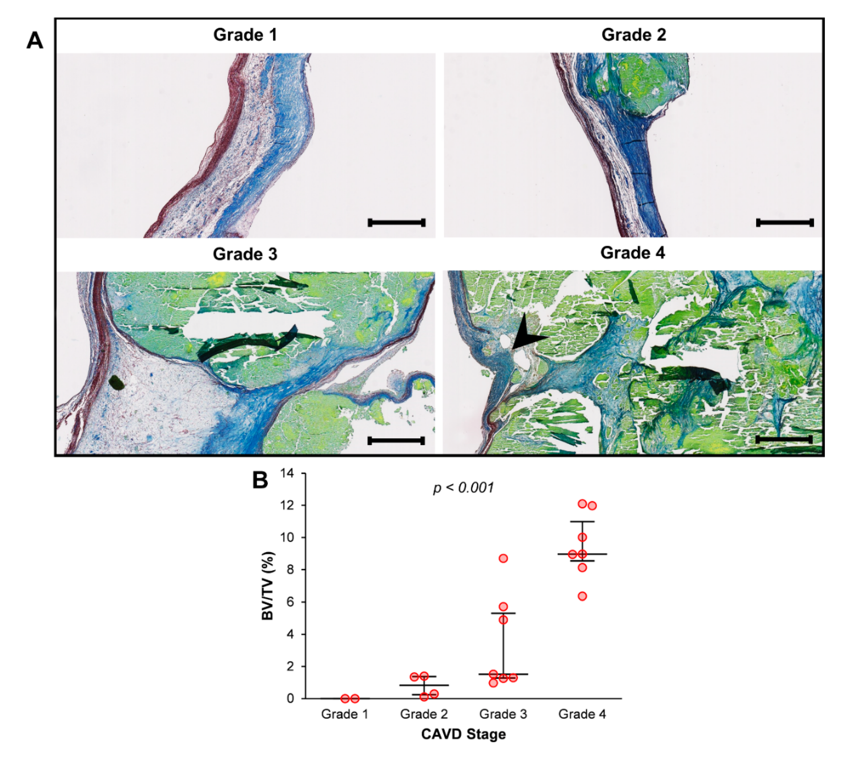 Jcm 09 00029 g002 Jcm 09 00029 g002