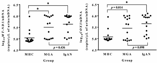 mitochondrial injury