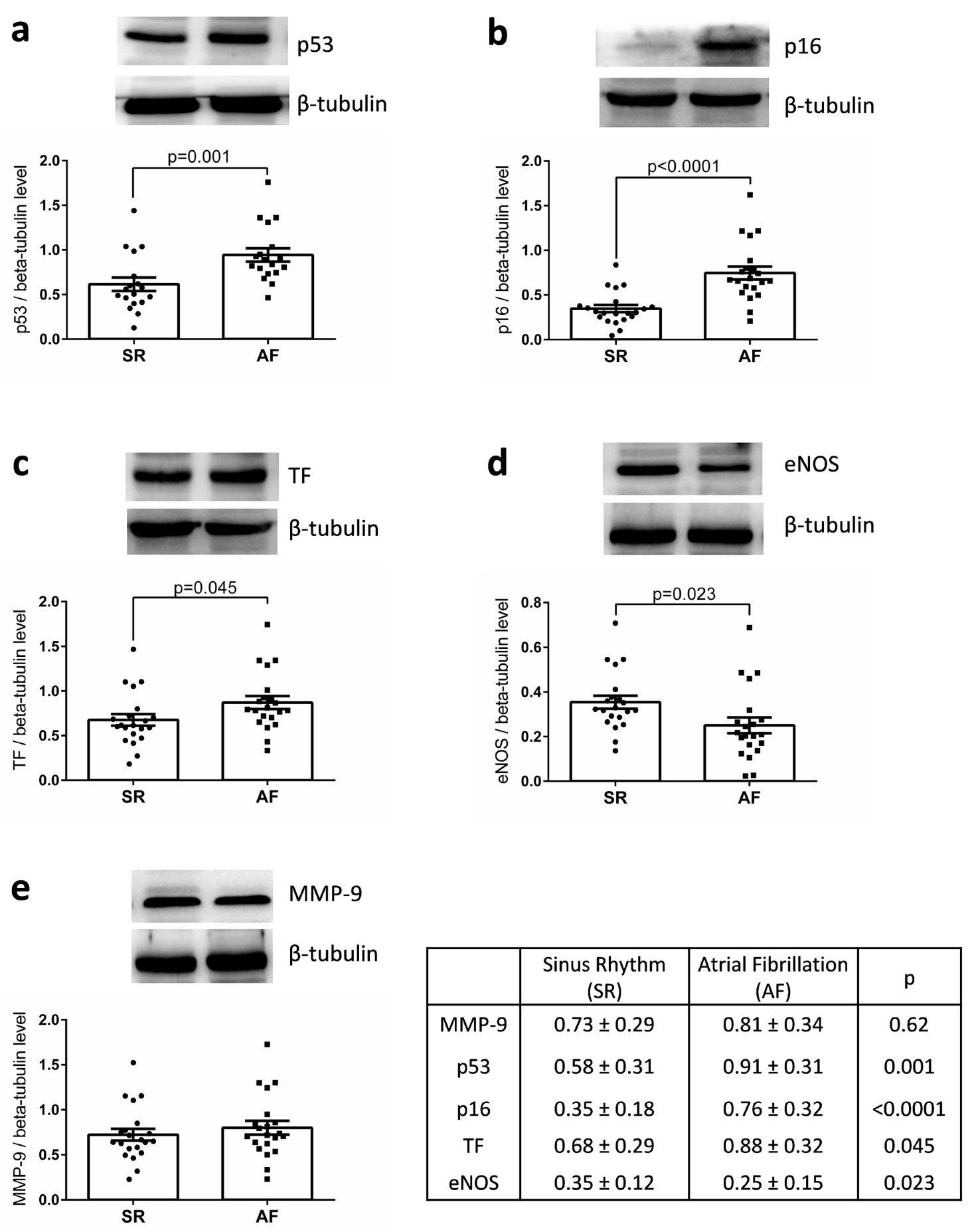 Jcm 09 00036 g001 Jcm 09 00036 g001