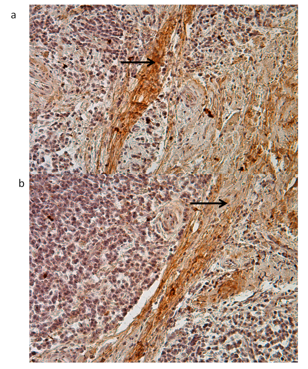 Jcm 09 00038 g009