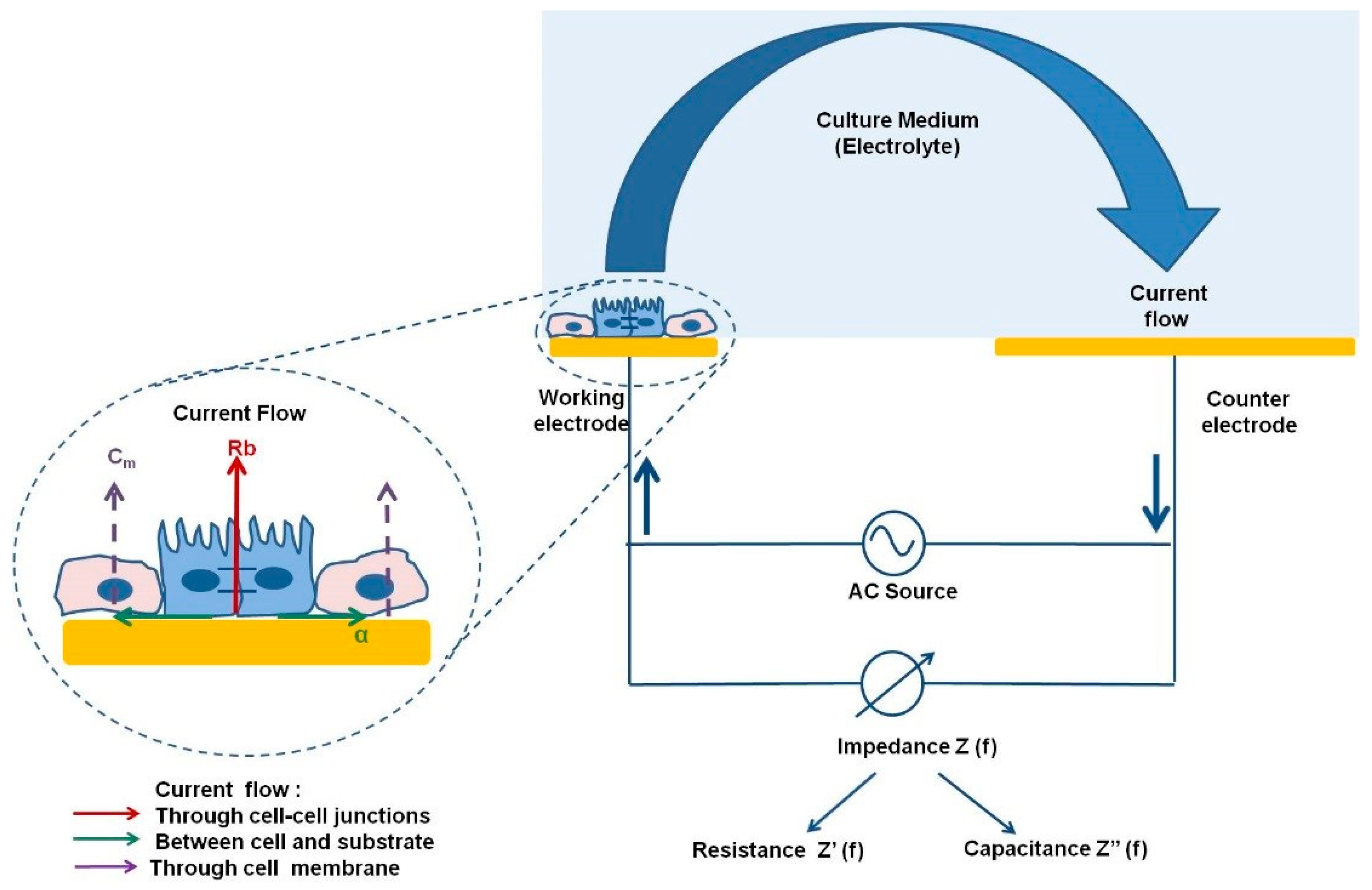 Jcm 09 00050 g002 Jcm 09 00050 g002