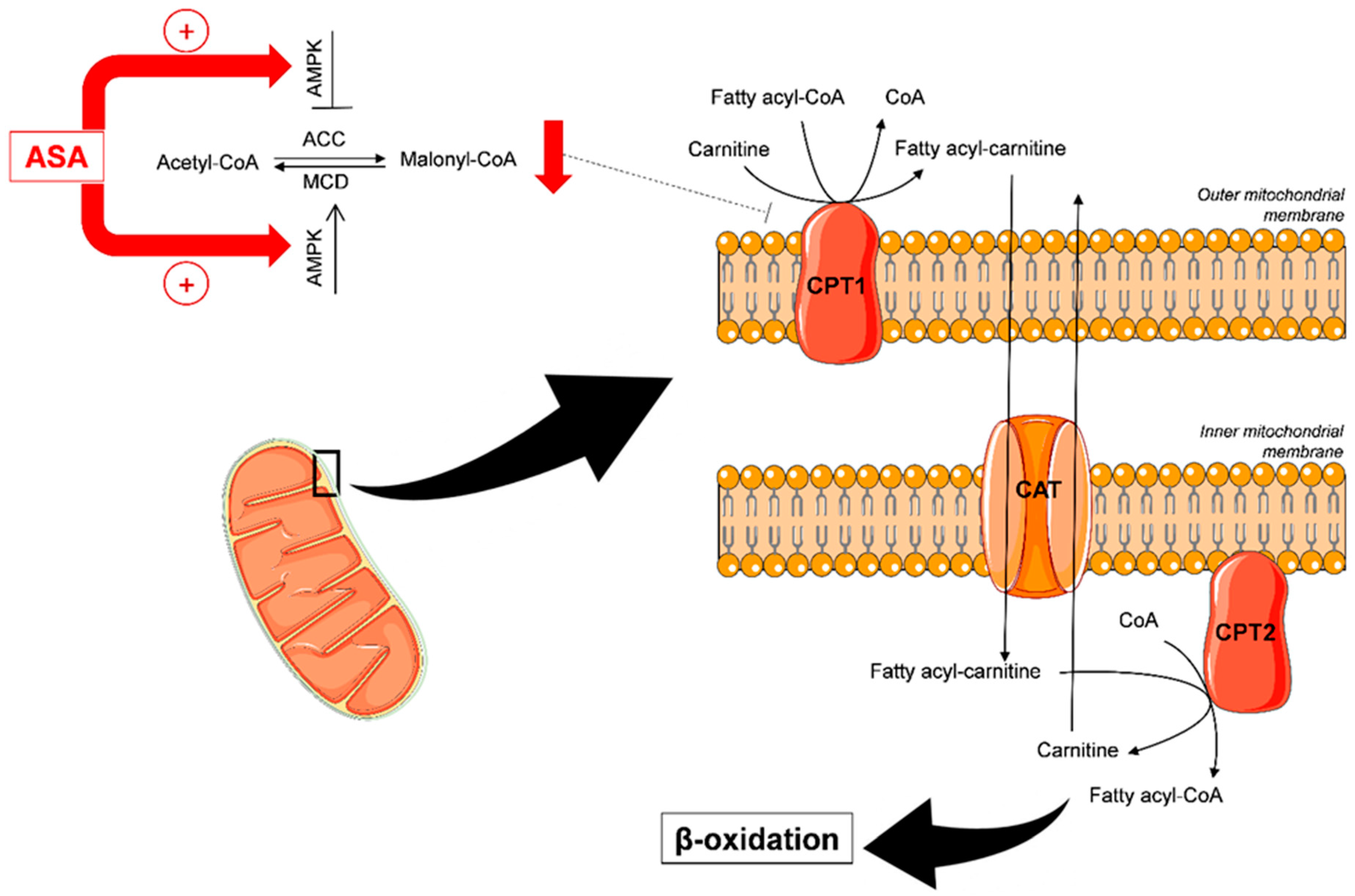 Jcm 09 00051 g006 Jcm 09 00051 g006