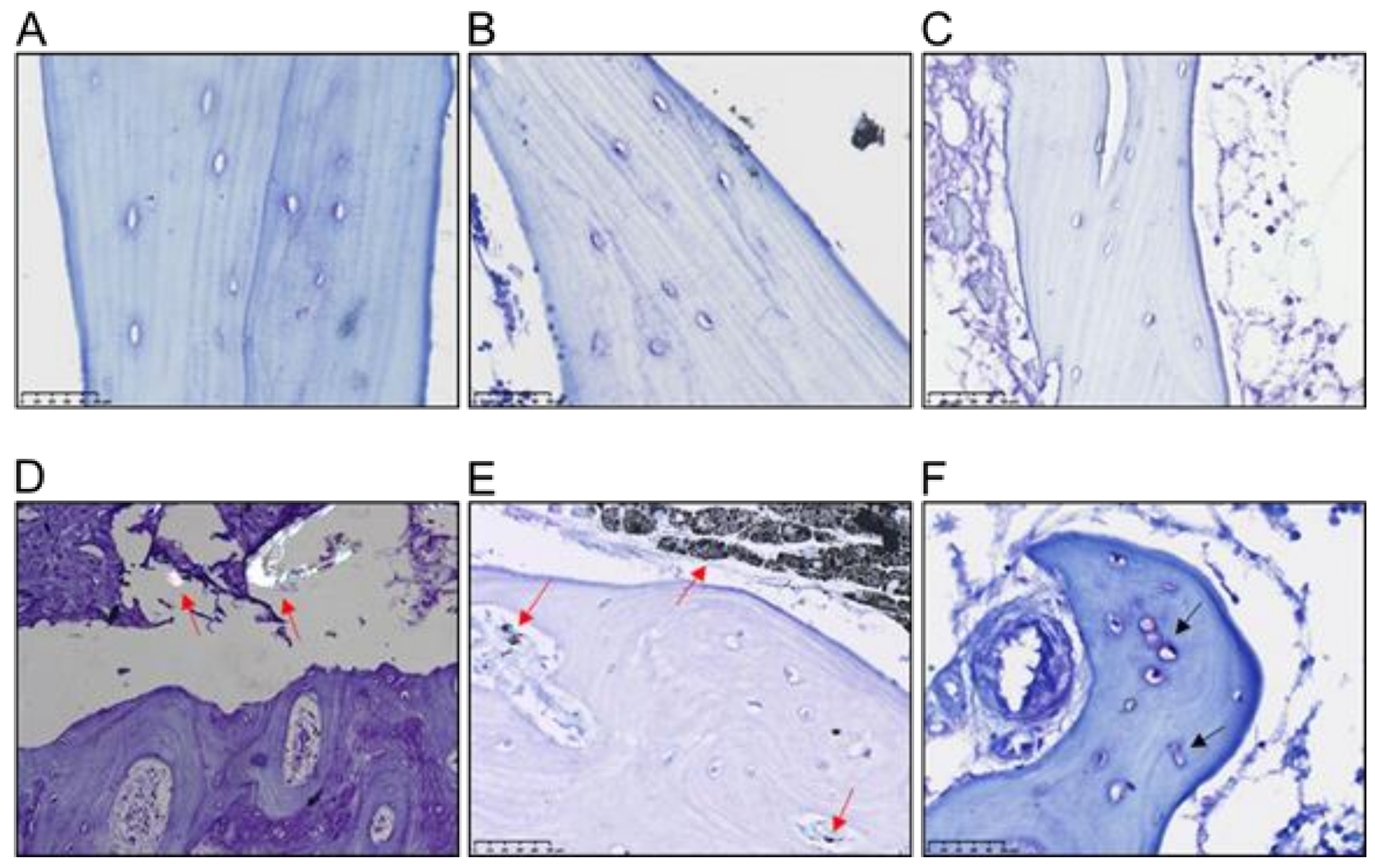 Jcm 09 00053 g002 Jcm 09 00053 g002