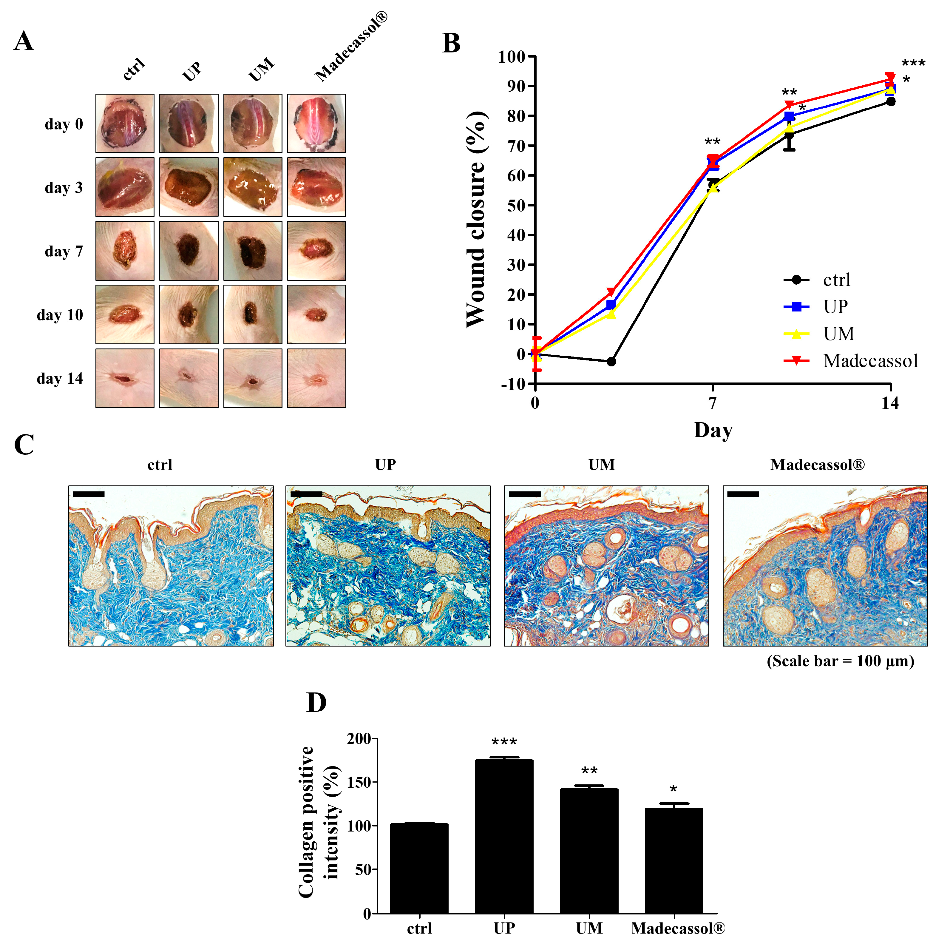 Jcm 09 00059 g003 Jcm 09 00059 g003