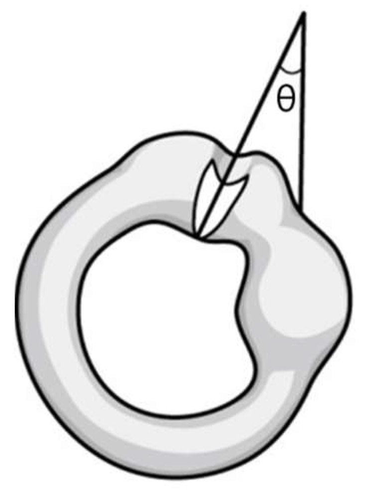 Jcm 09 00073 g002 Jcm 09 00073 g002