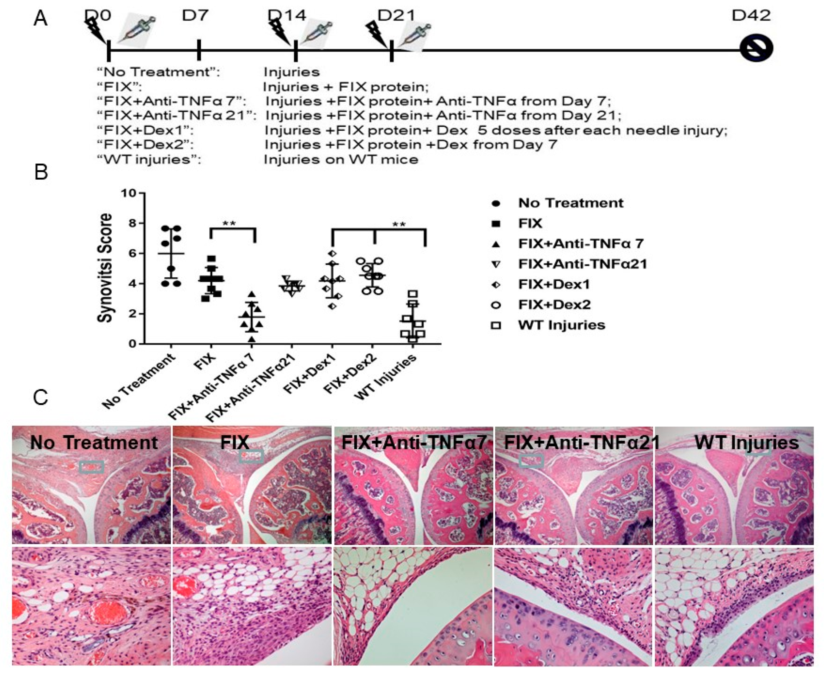 Jcm 09 00075 g001 Jcm 09 00075 g001