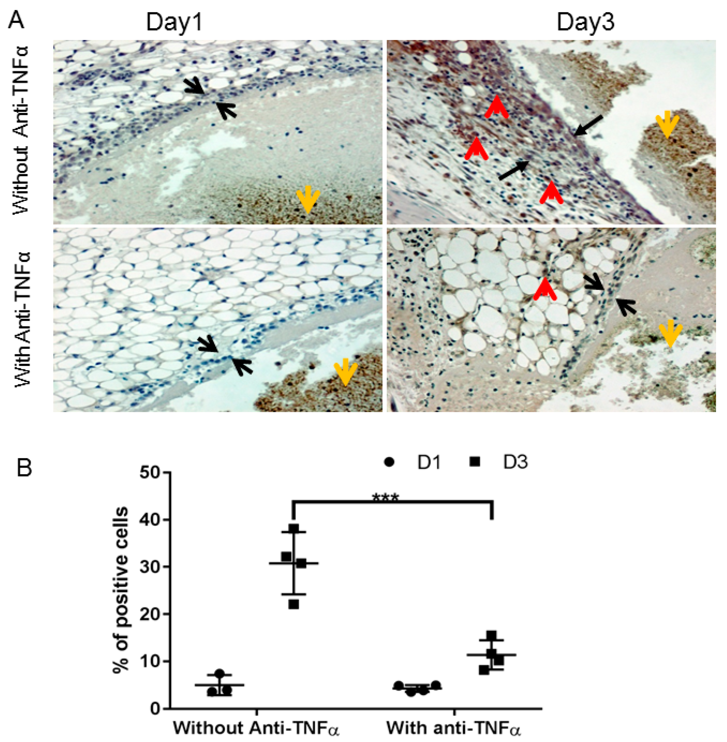 Jcm 09 00075 g004 Jcm 09 00075 g004