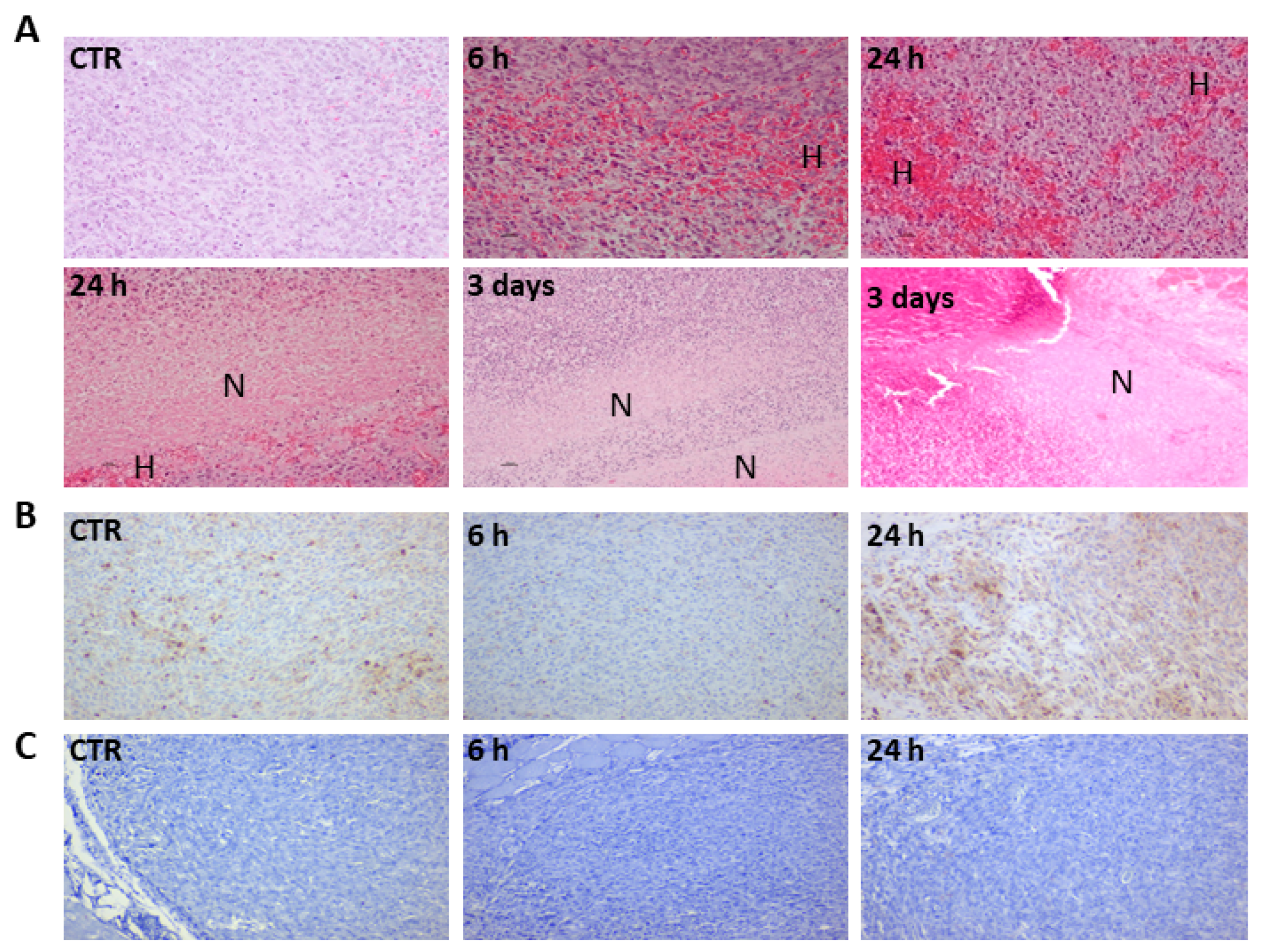 Jcm 09 00104 g006 Jcm 09 00104 g006