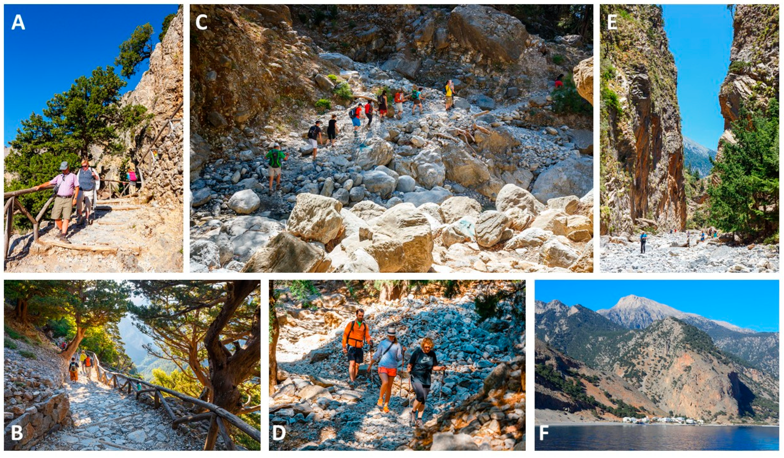 Jcm 09 00114 g002 Jcm 09 00114 g002