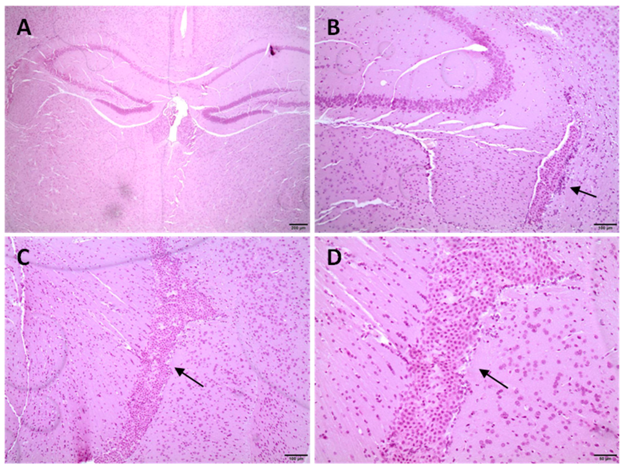 Jcm 09 00155 g008