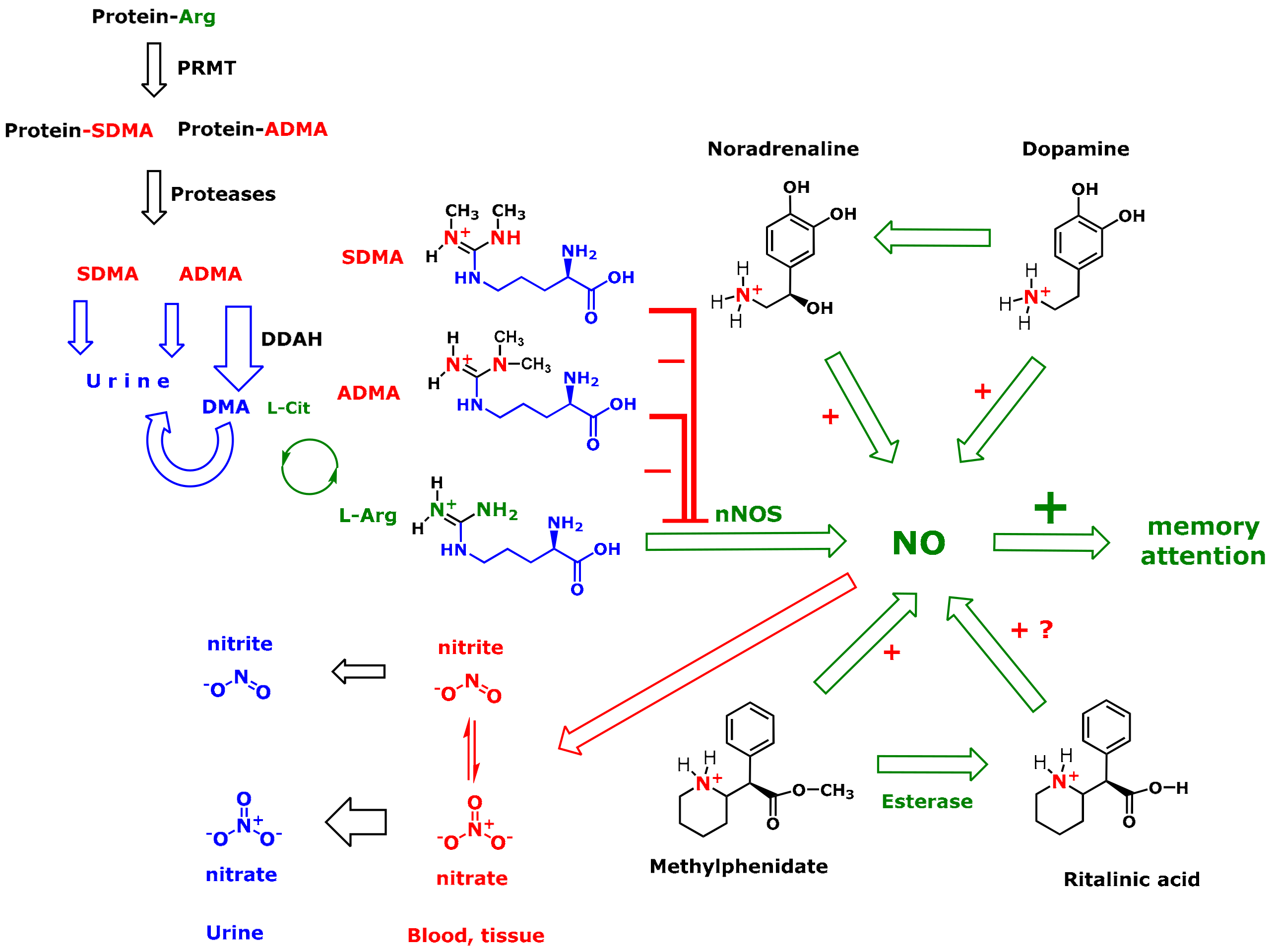 Jcm 09 00175 g001 Jcm 09 00175 g001