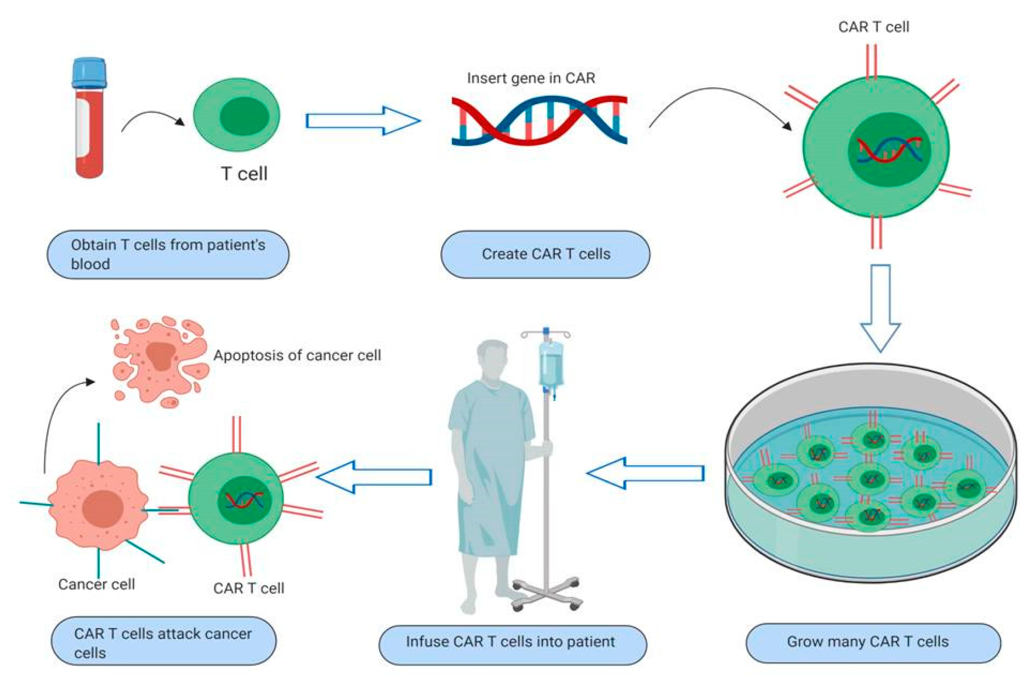 Will Bone Cancer Show Up In Blood Test