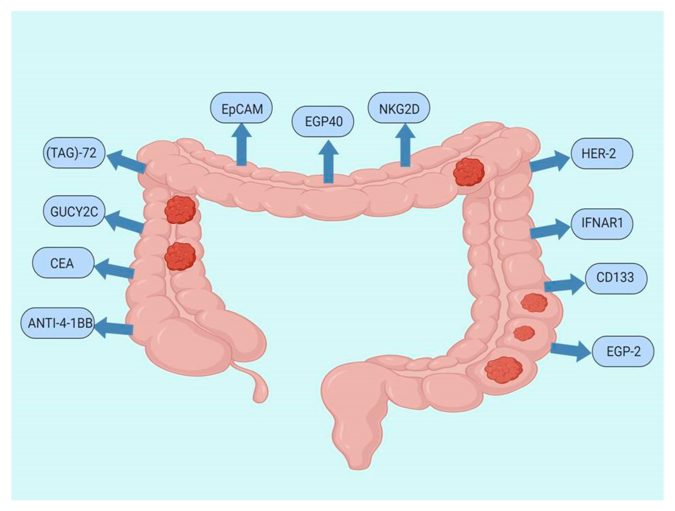 Jcm 09 00182 g002 Jcm 09 00182 g002
