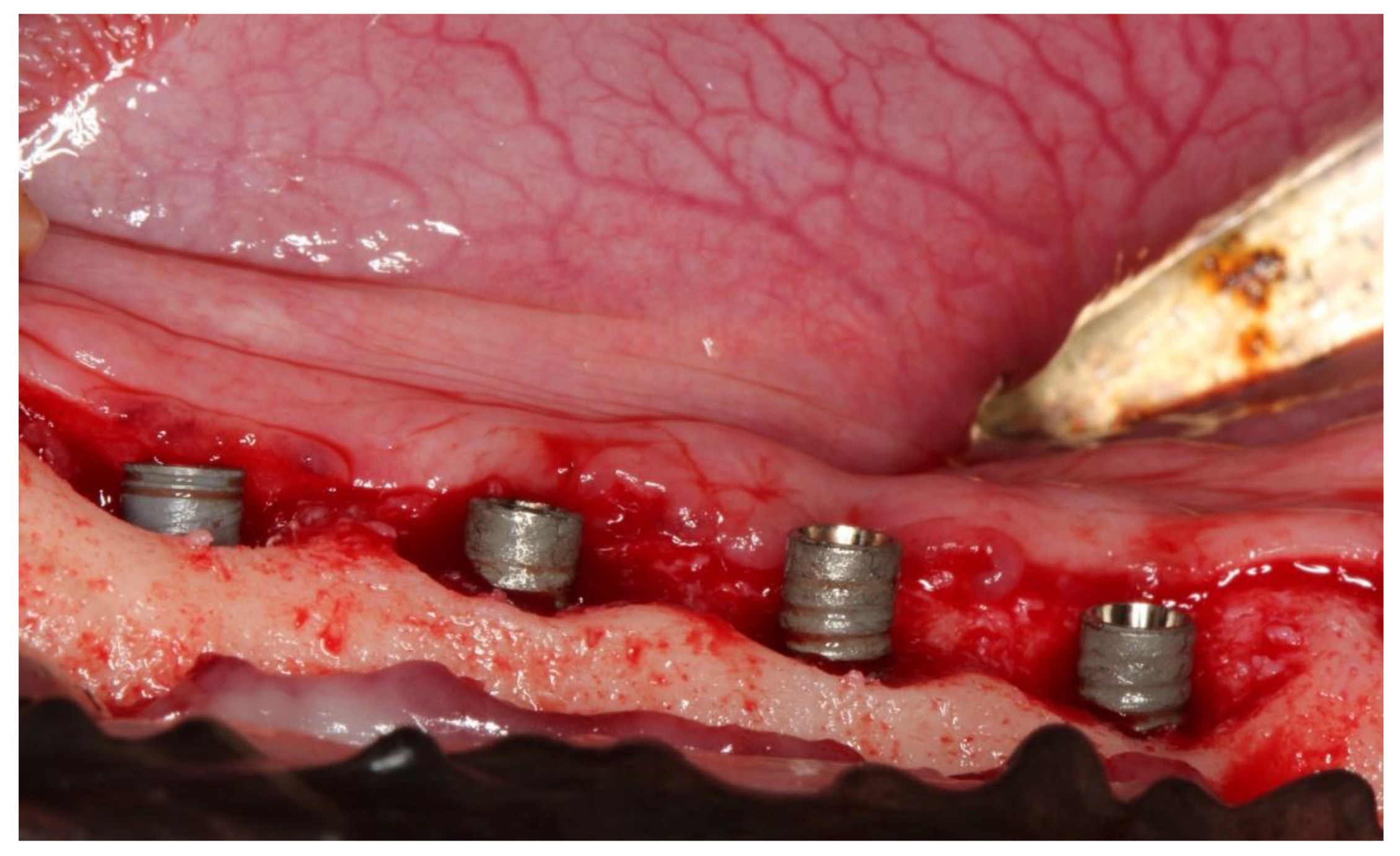 Jcm 09 00235 g003 Jcm 09 00235 g003