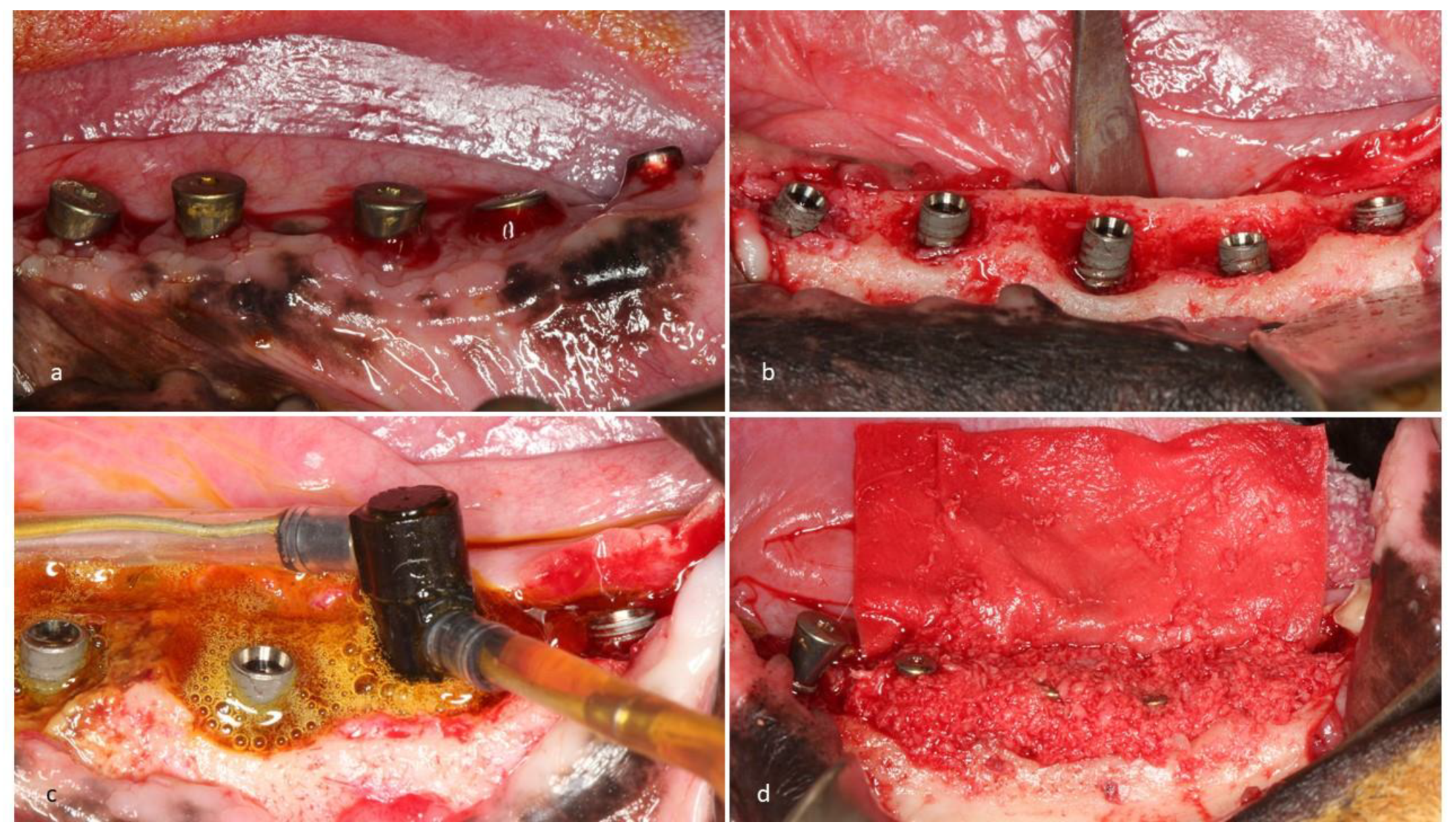 Jcm 09 00235 g004 Jcm 09 00235 g004