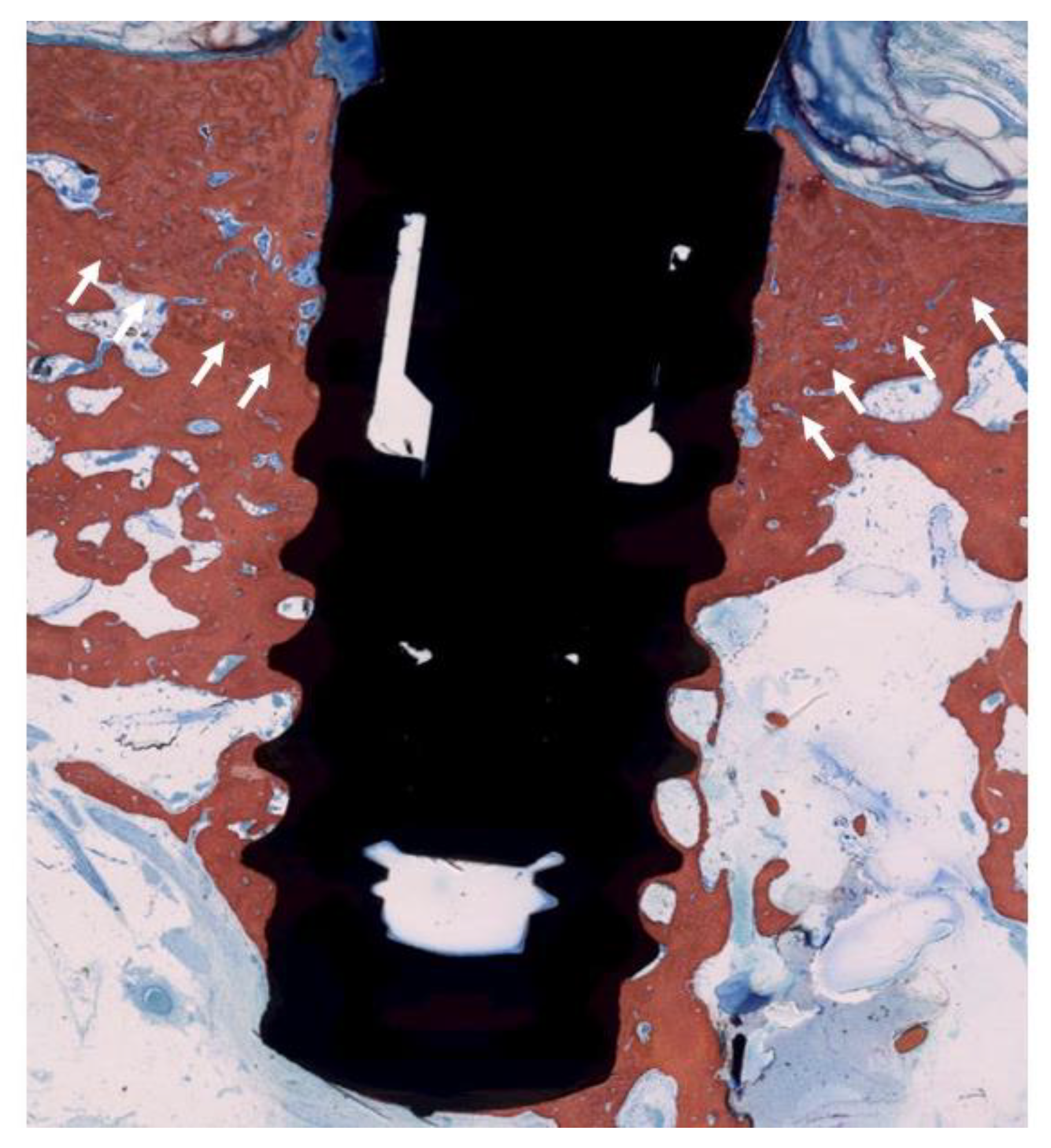 Jcm 09 00235 g005 Jcm 09 00235 g005