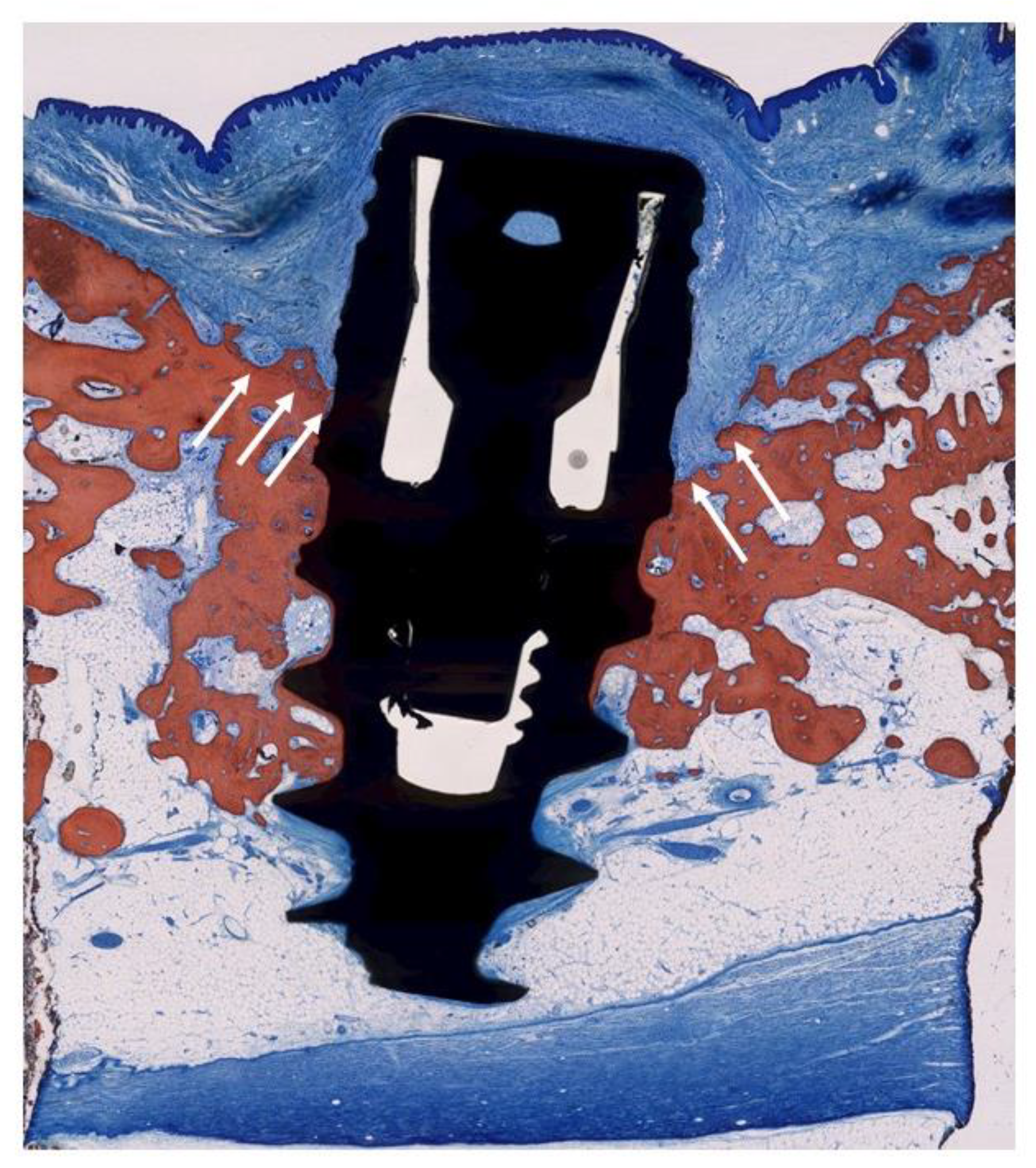 Jcm 09 00235 g007 Jcm 09 00235 g007