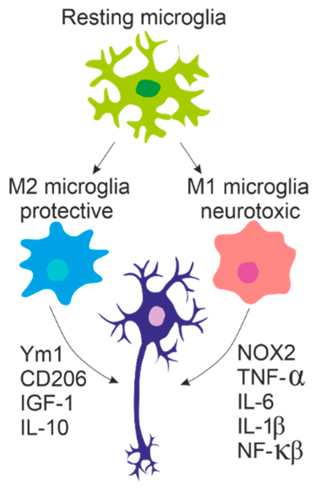 Jcm 09 00261 g002 Jcm 09 00261 g002