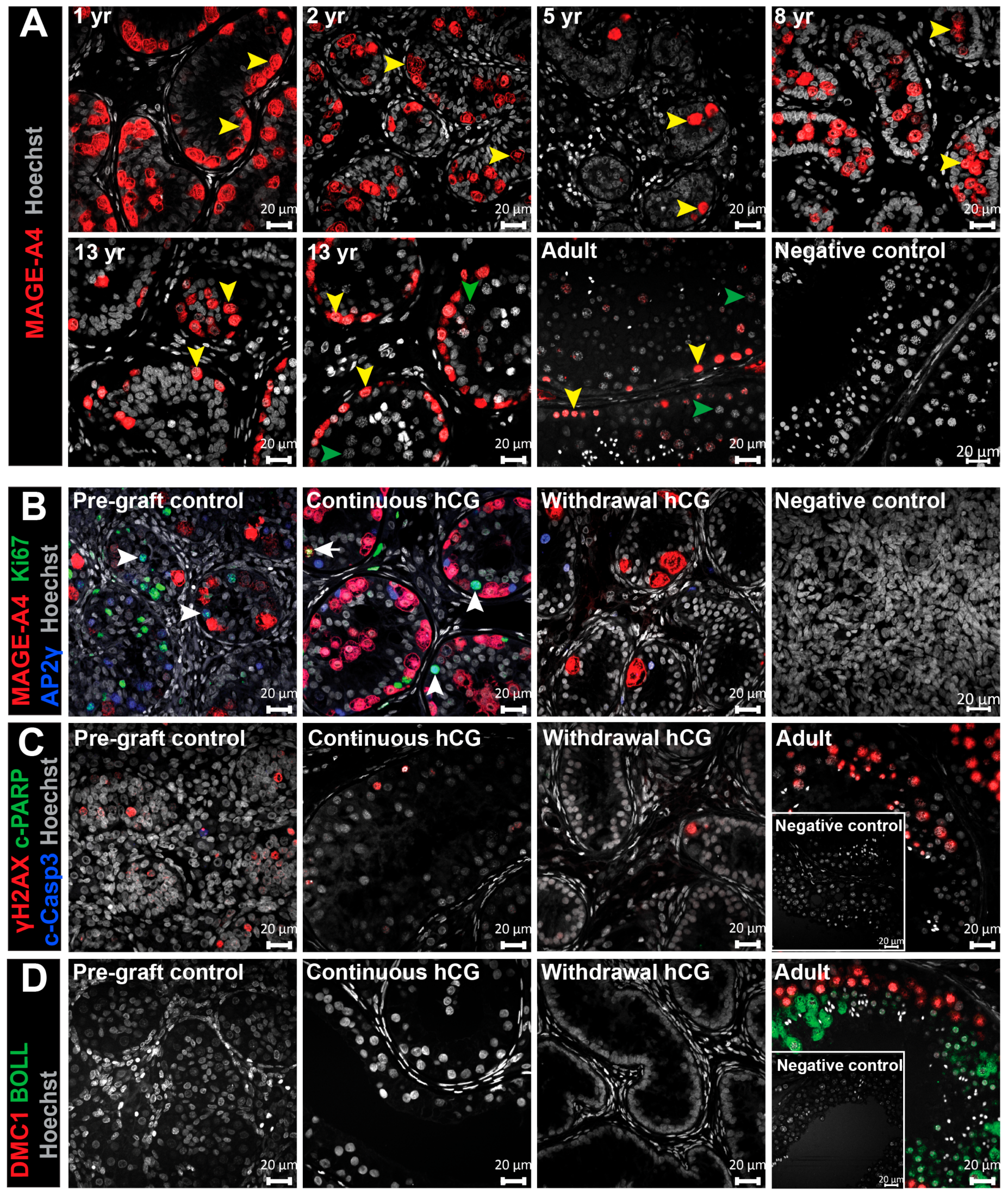 Jcm 09 00266 g007 Jcm 09 00266 g007