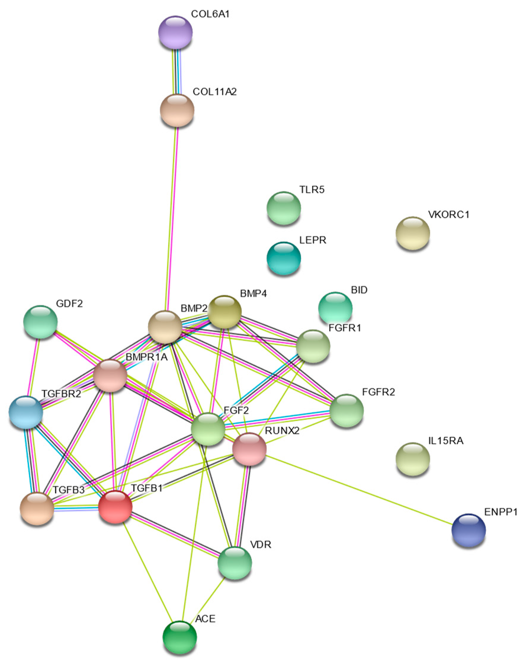 Jcm 09 00282 g003 Jcm 09 00282 g003