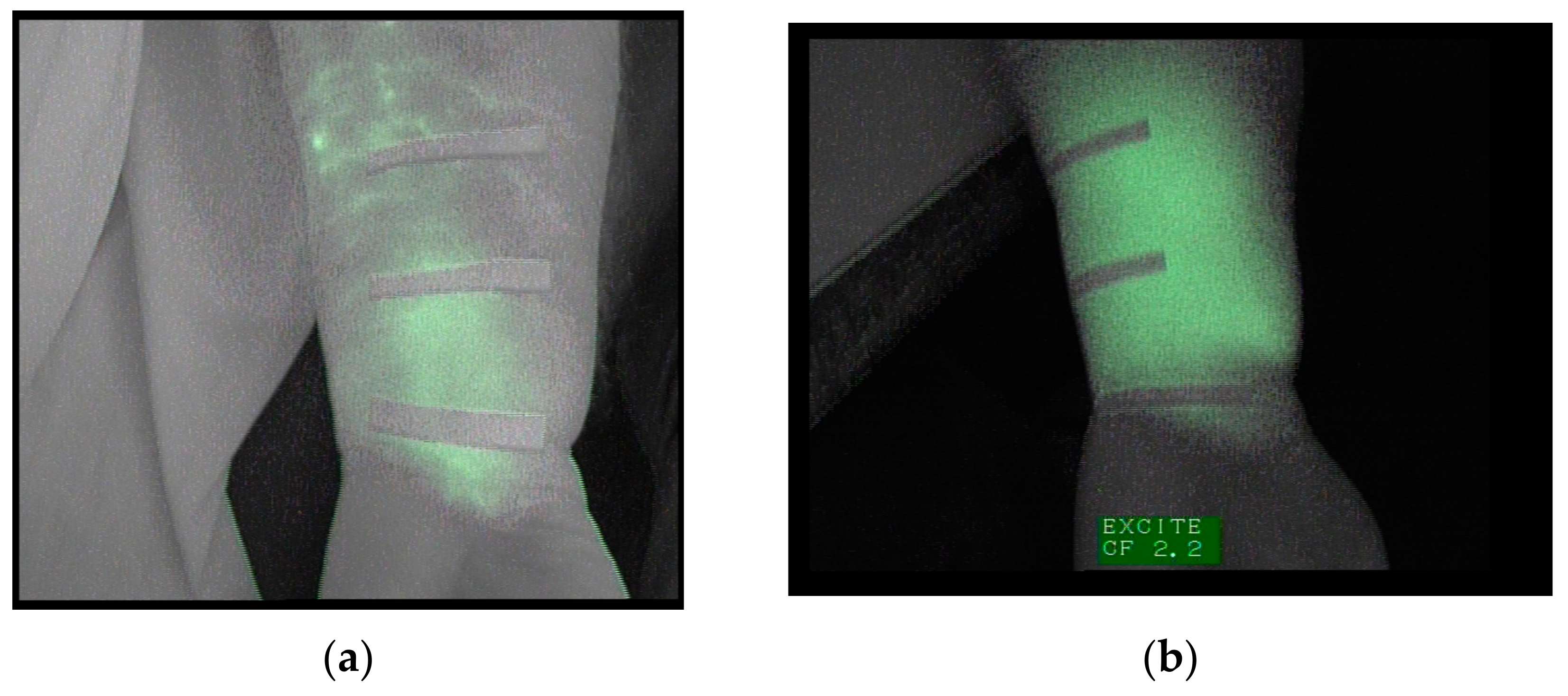 Jcm 09 00306 g001 Jcm 09 00306 g001