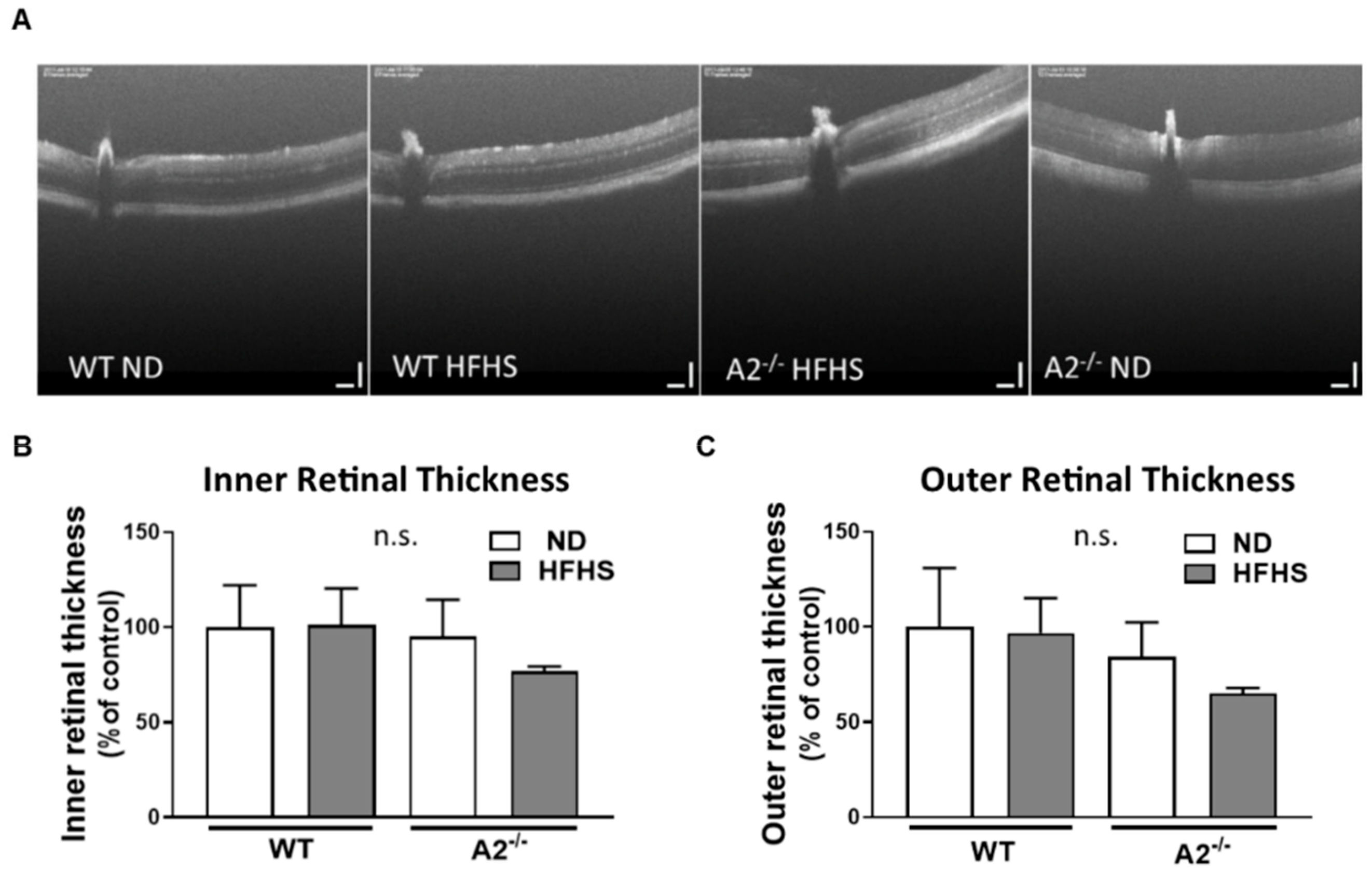 Jcm 09 00317 g005 Jcm 09 00317 g005