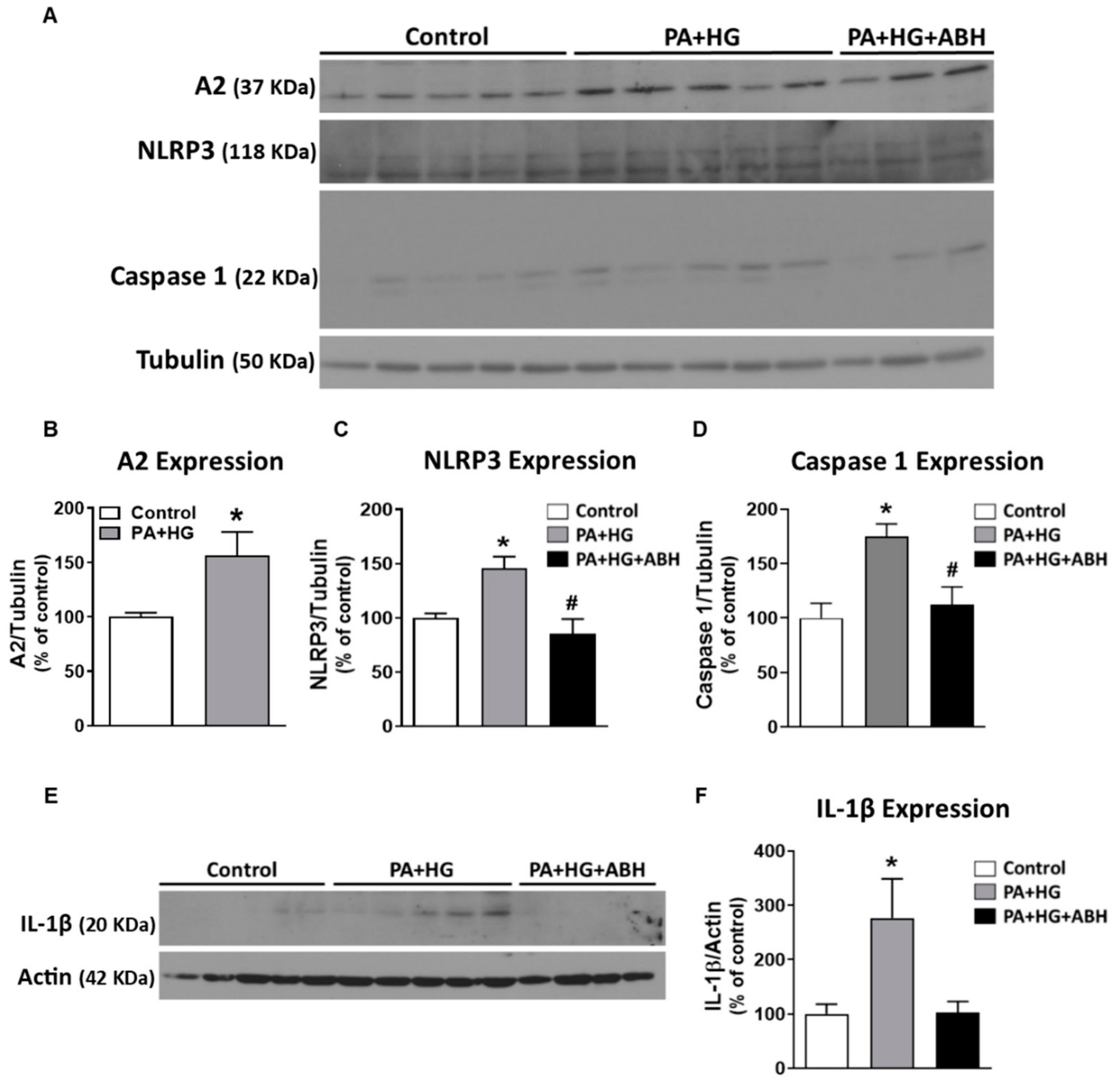 Jcm 09 00317 g008 Jcm 09 00317 g008